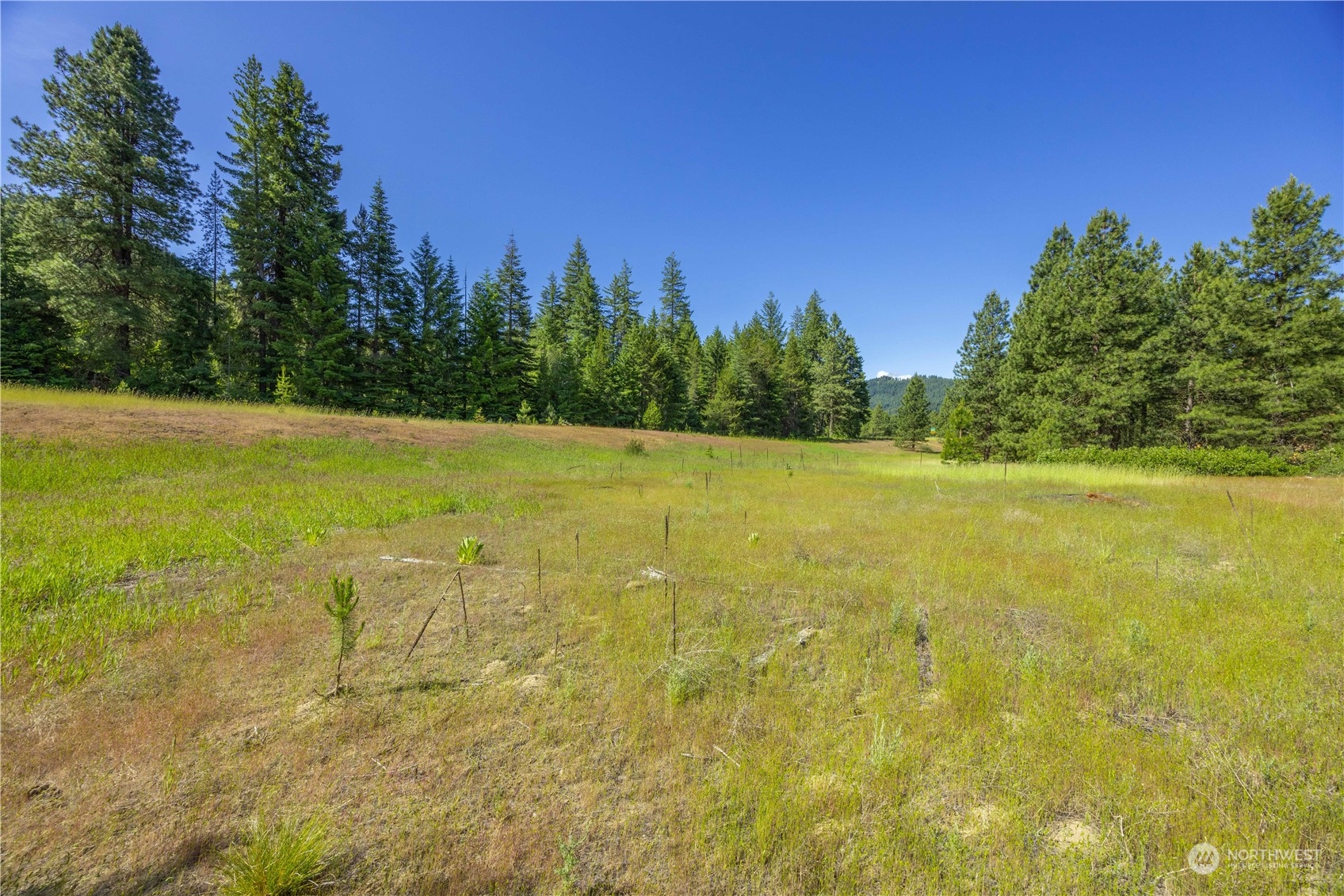 20106 Shugart Flats Road Property Photo 4