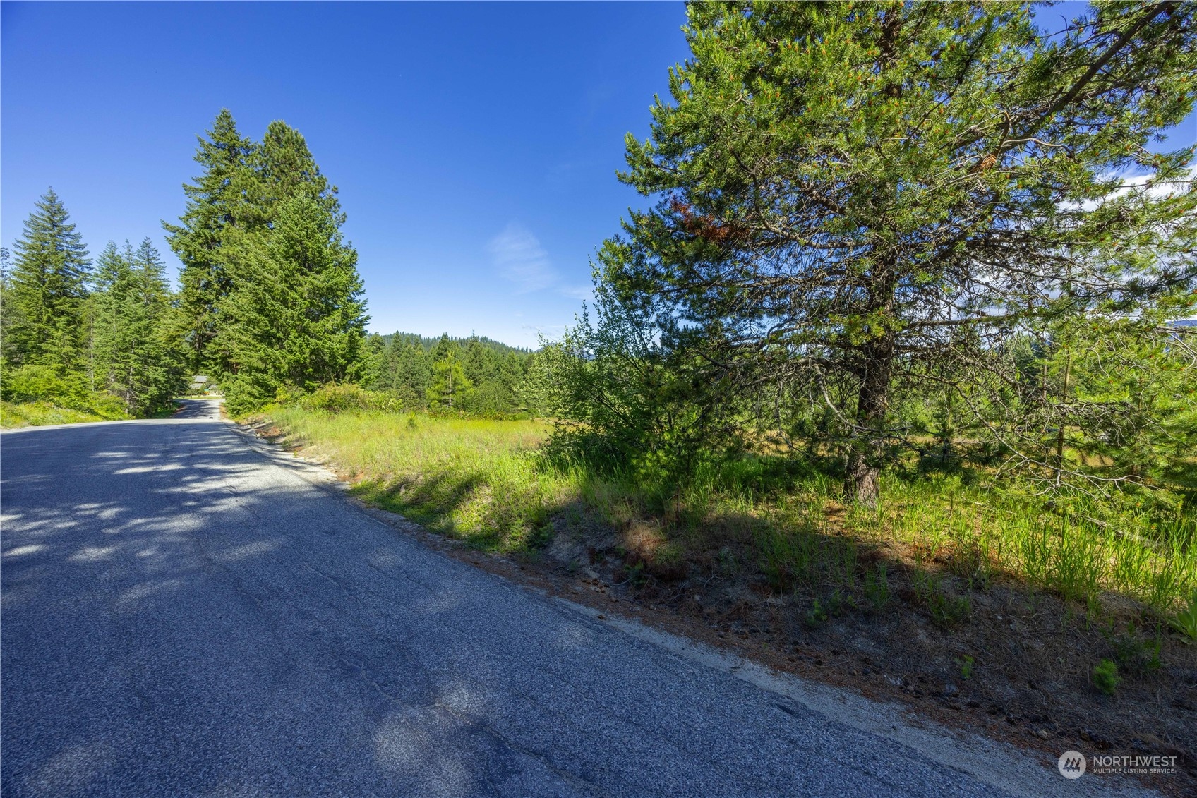 20106 Shugart Flats Road Property Photo 5