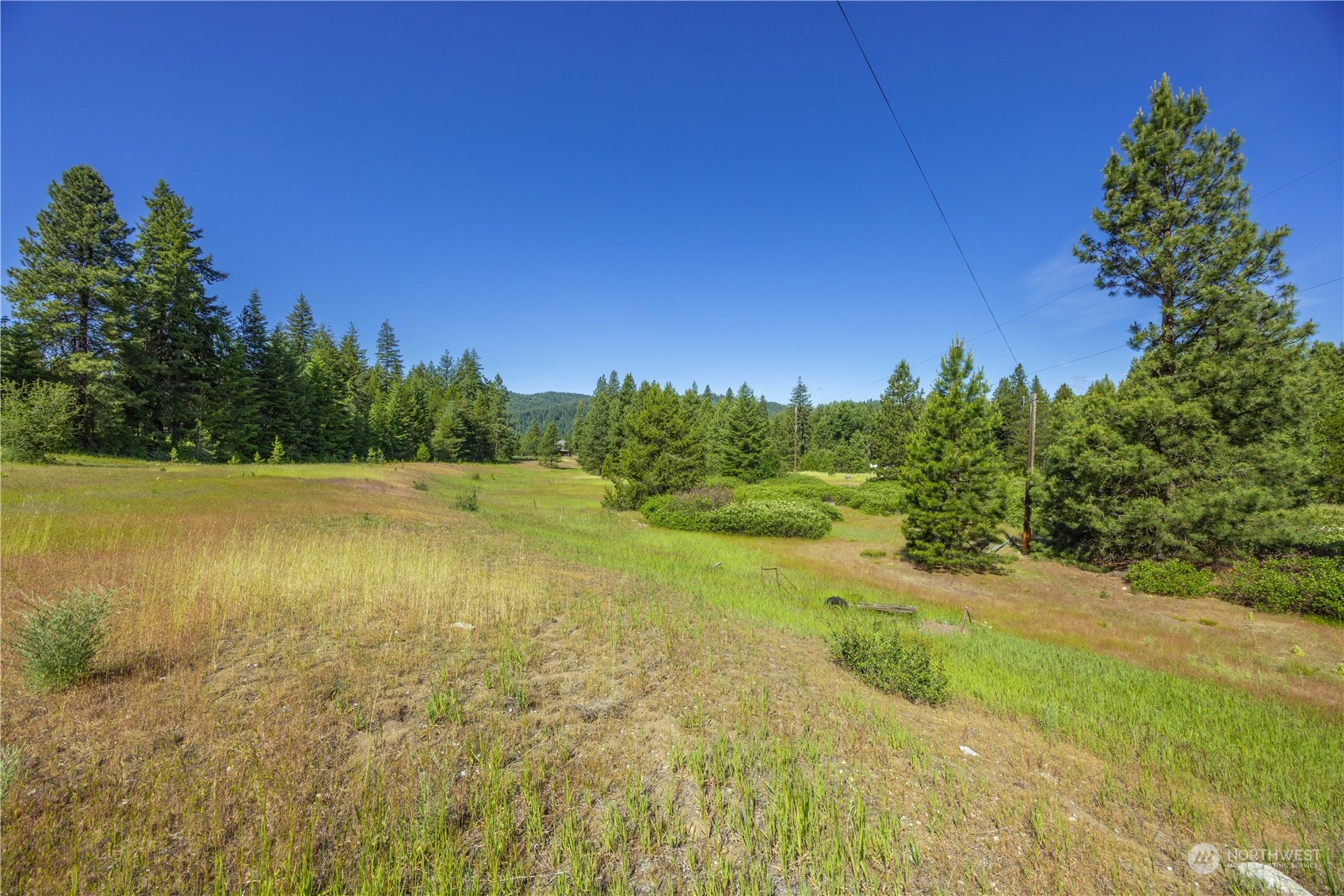 20106 Shugart Flats Road Property Photo 6