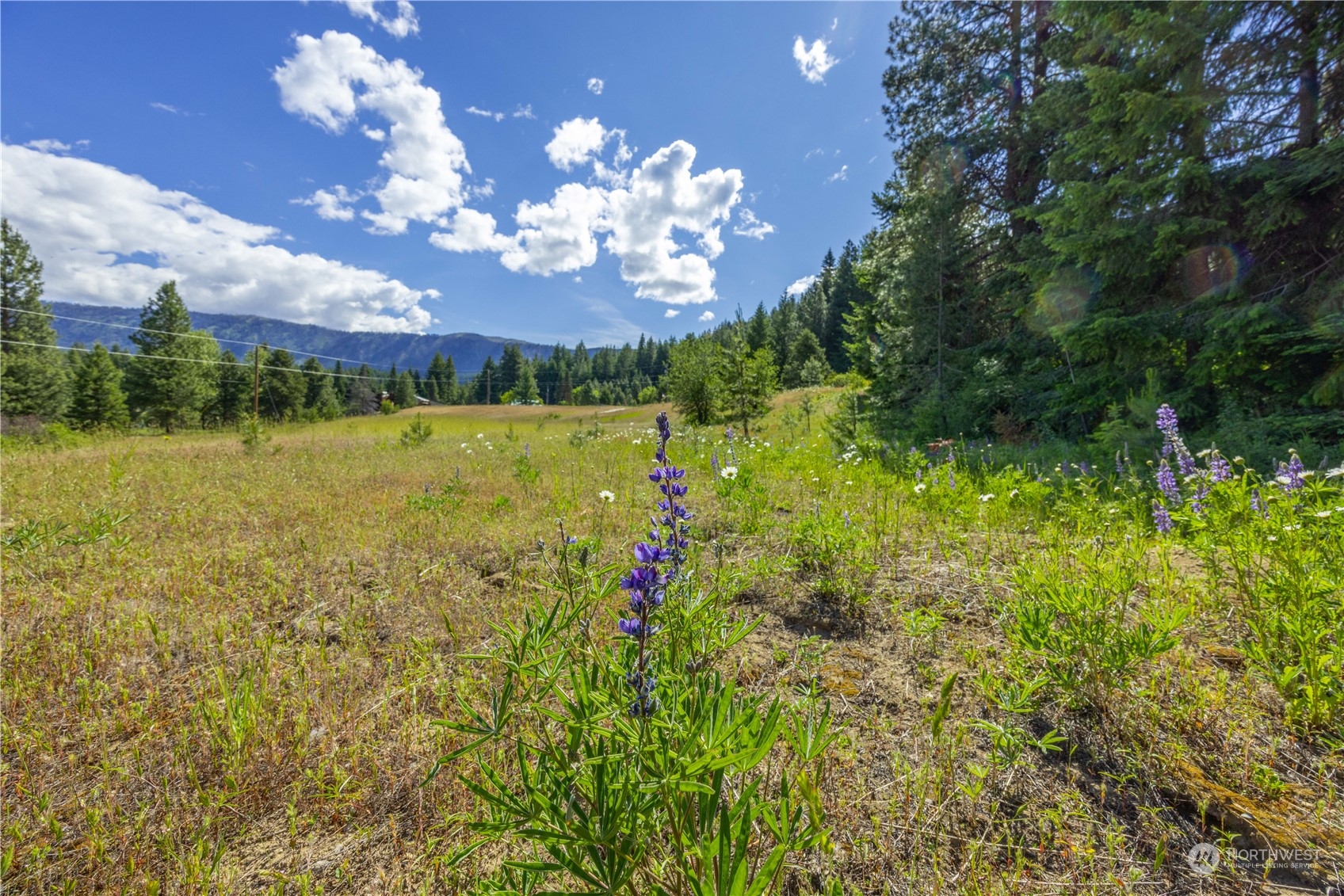 20106 Shugart Flats Road Property Photo 7