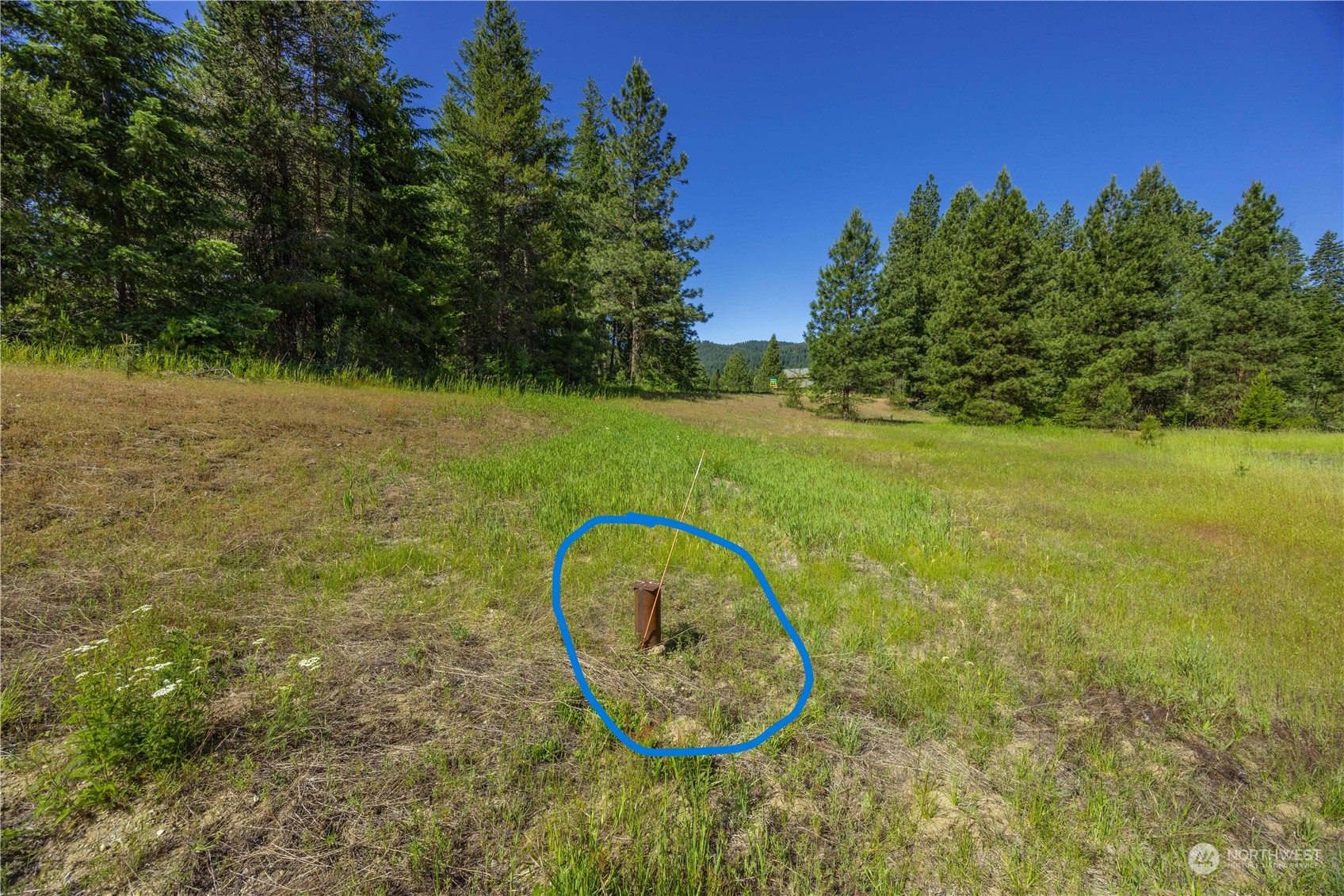 20106 Shugart Flats Road Property Photo 8