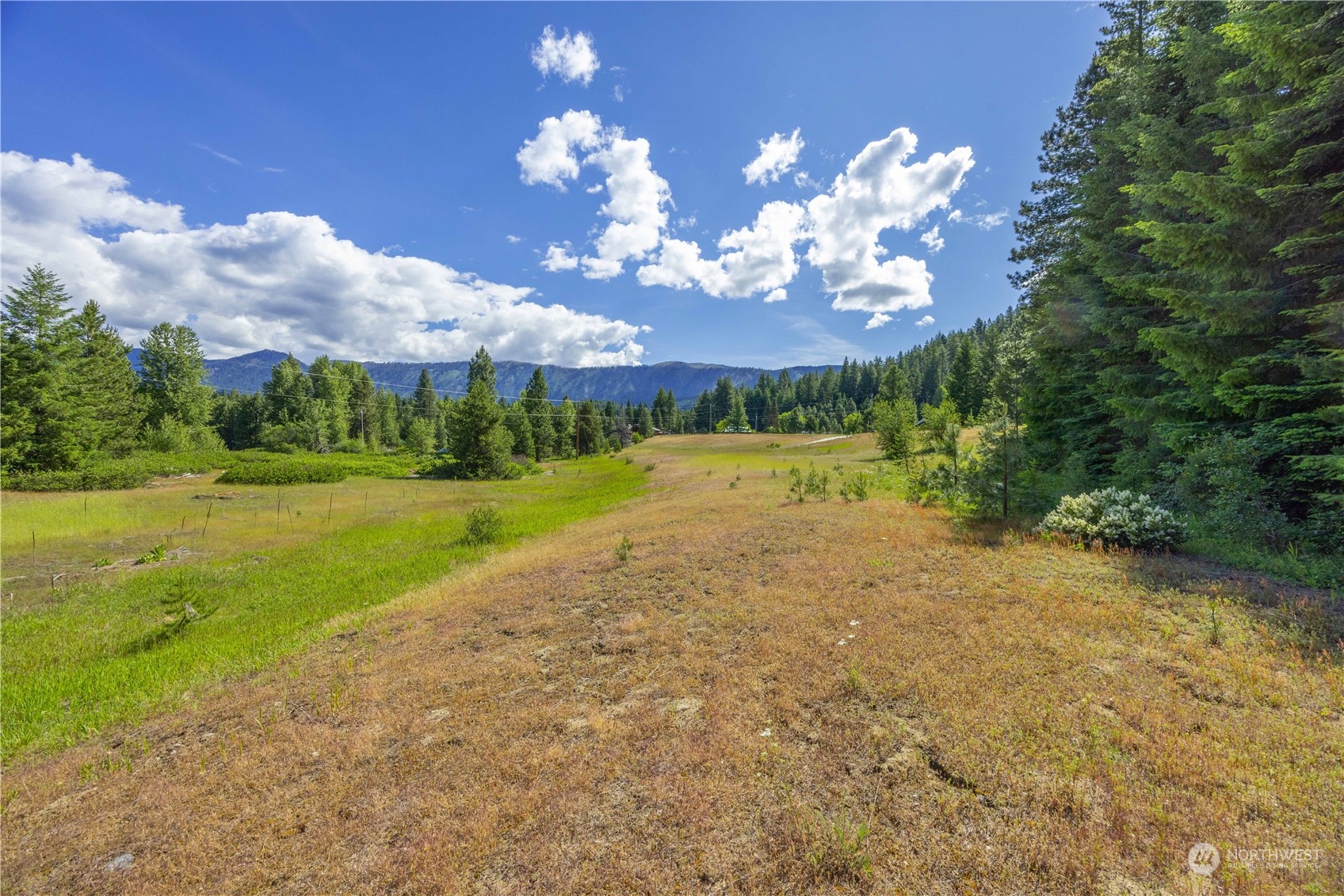 20106 Shugart Flats Road Property Photo 9
