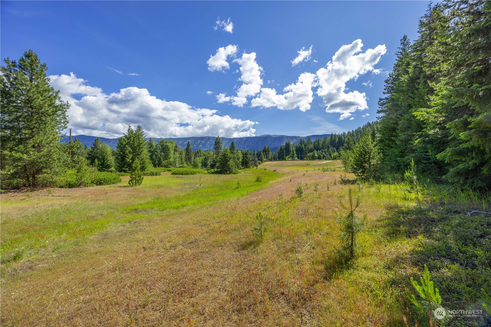 20106 Shugart Flats Road Property Photo 10