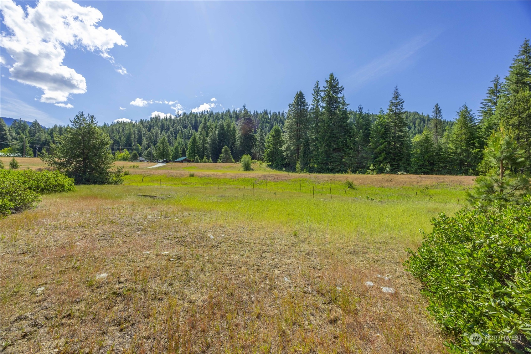 20106 Shugart Flats Road Property Photo 11