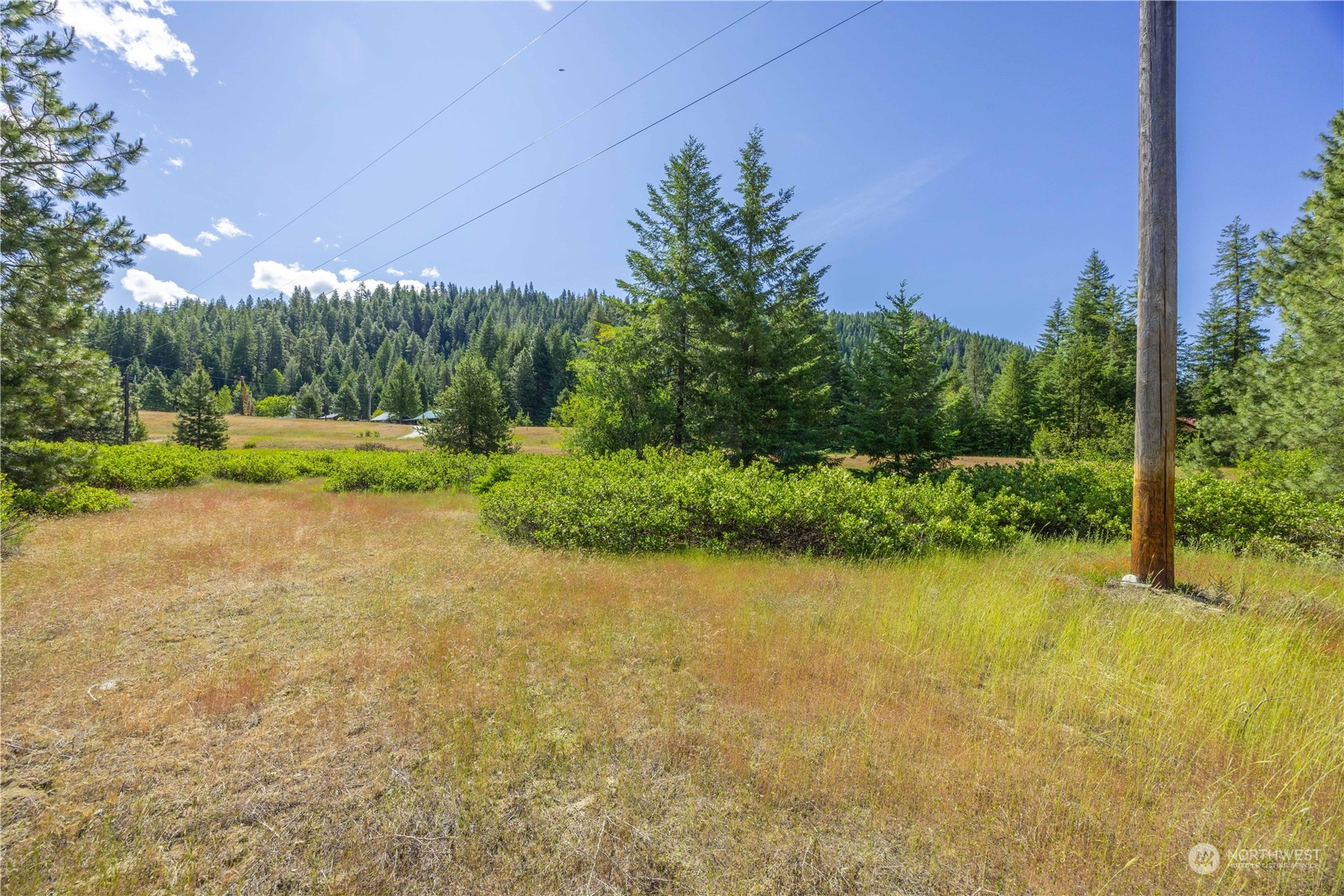 20106 Shugart Flats Road Property Photo 12
