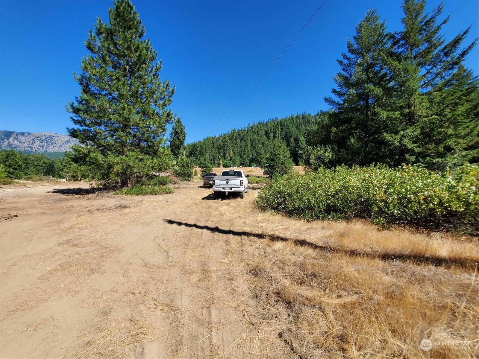 20106 Shugart Flats Road Property Photo 15