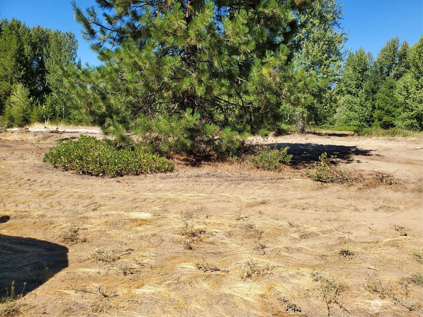 20106 Shugart Flats Road Property Photo 16