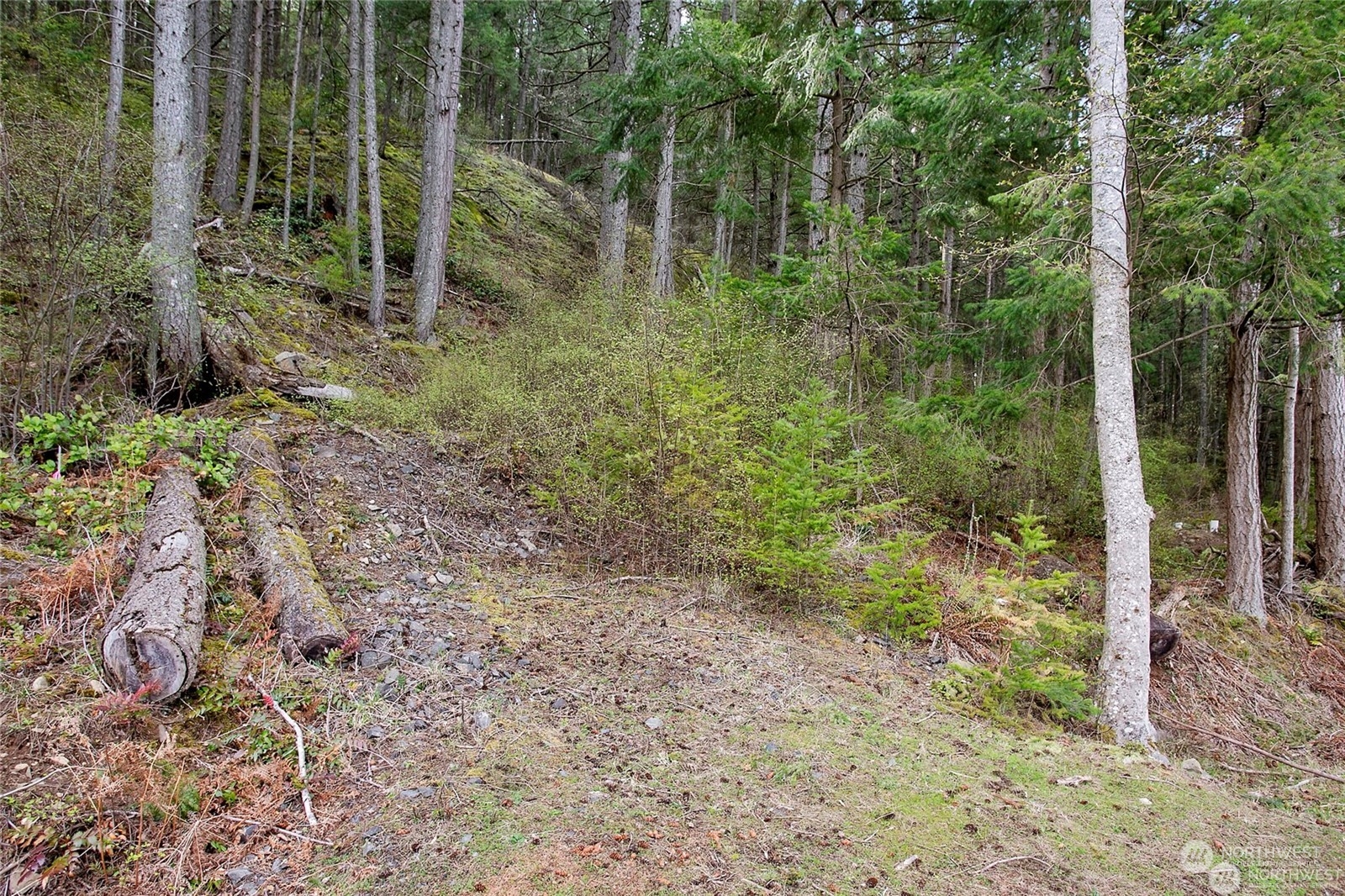 3075 Hales Passage Drive Lot 4 Property Photo 5
