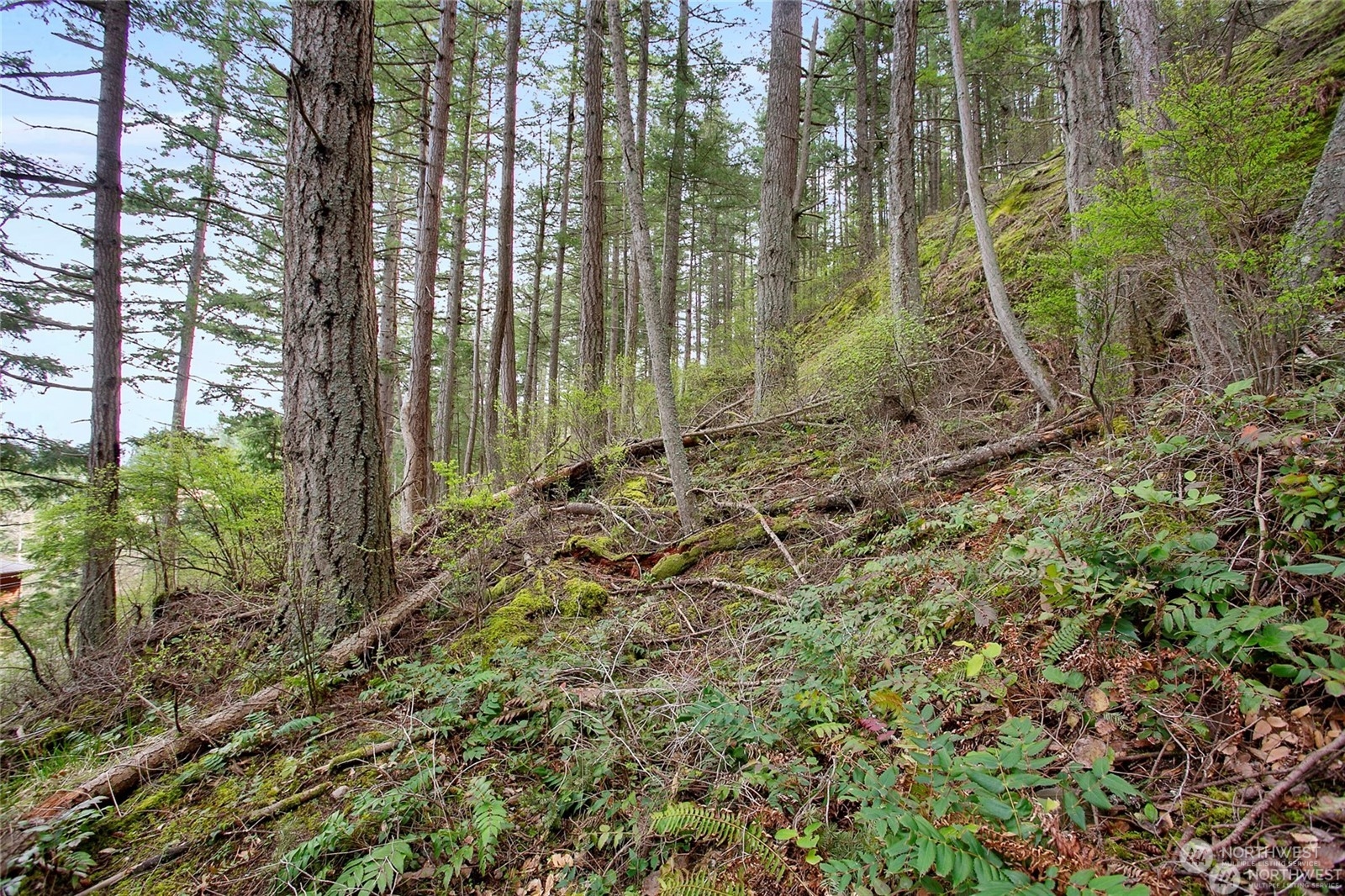 3075 Hales Passage Drive Lot 4 Property Photo 14