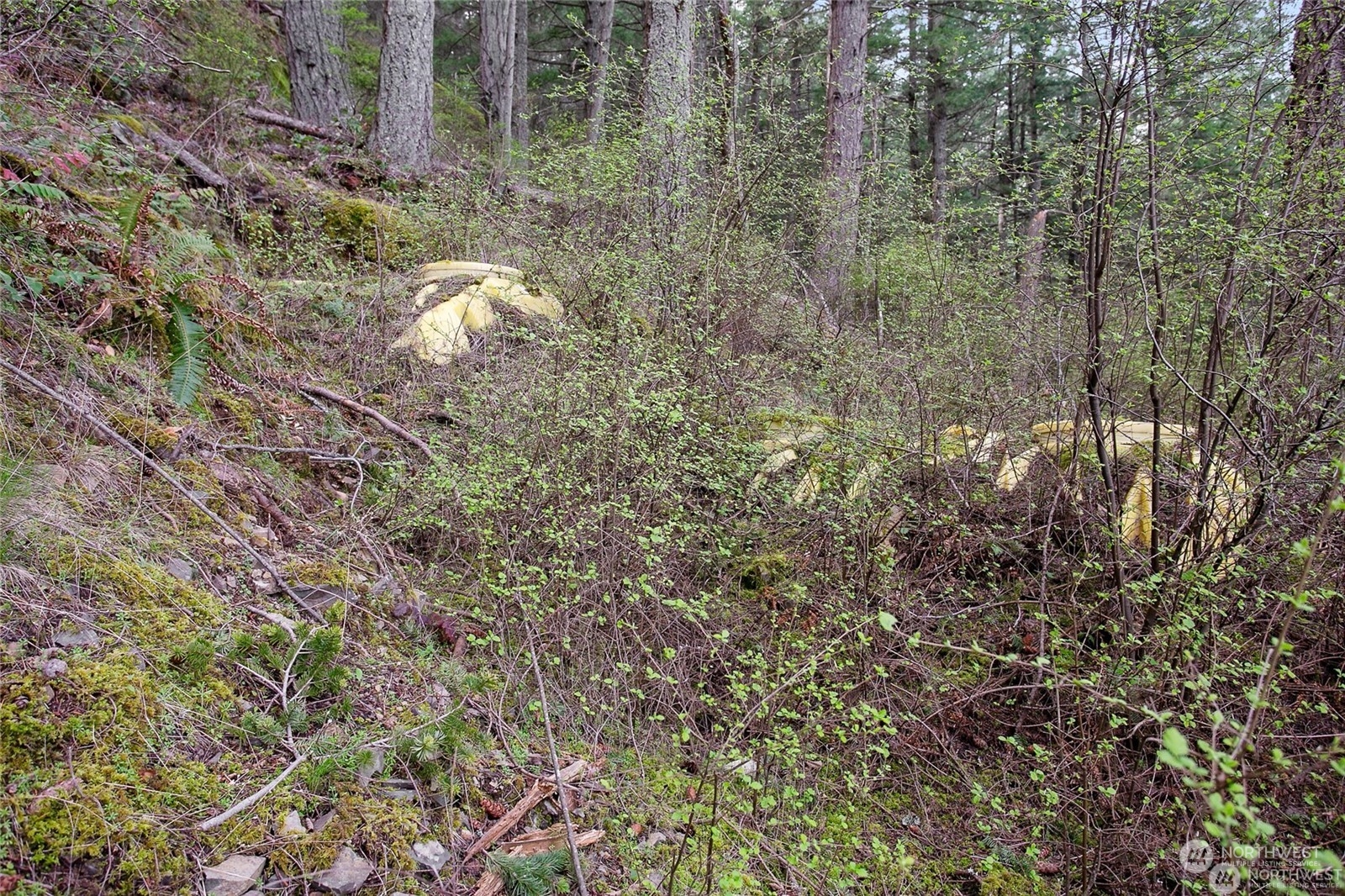 3075 Hales Passage Drive Lot 4 Property Photo 15
