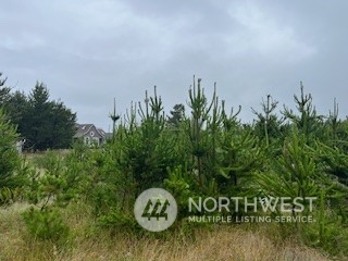 806 318th Place Property Photo 1