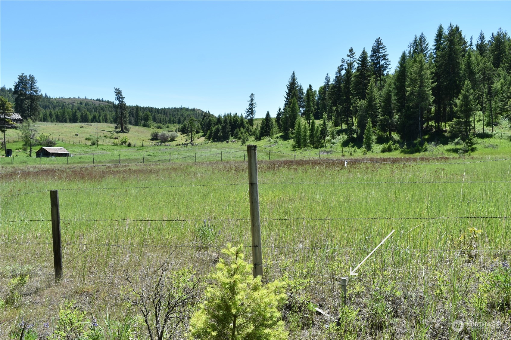 0 Tbd Mcquinn Road Property Photo 2