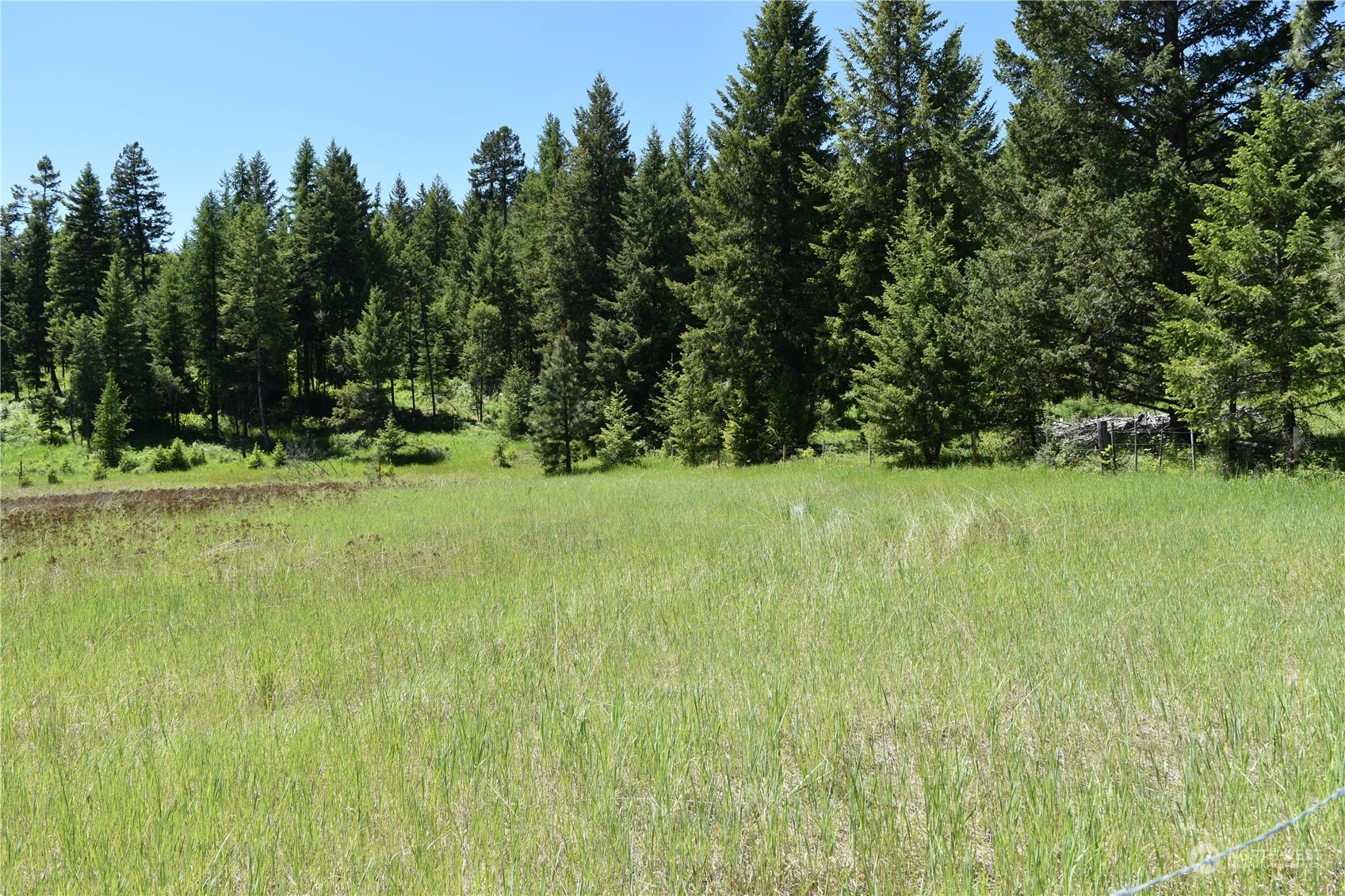 0 Tbd Mcquinn Road Property Photo 4