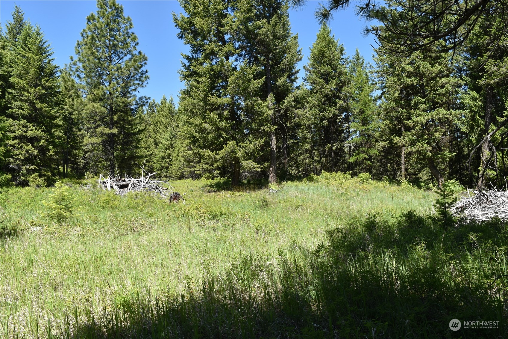 0 Tbd Mcquinn Road Property Photo 5