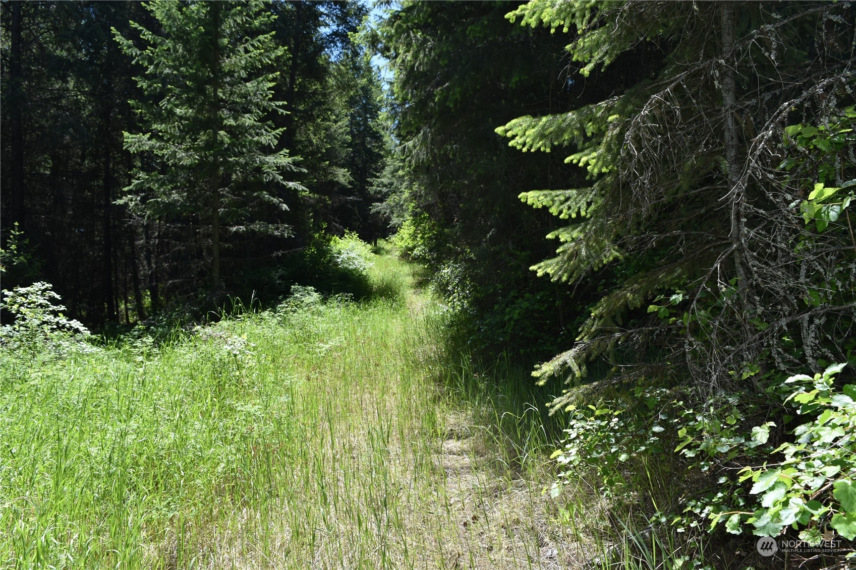 0 Tbd Mcquinn Road Property Photo 6
