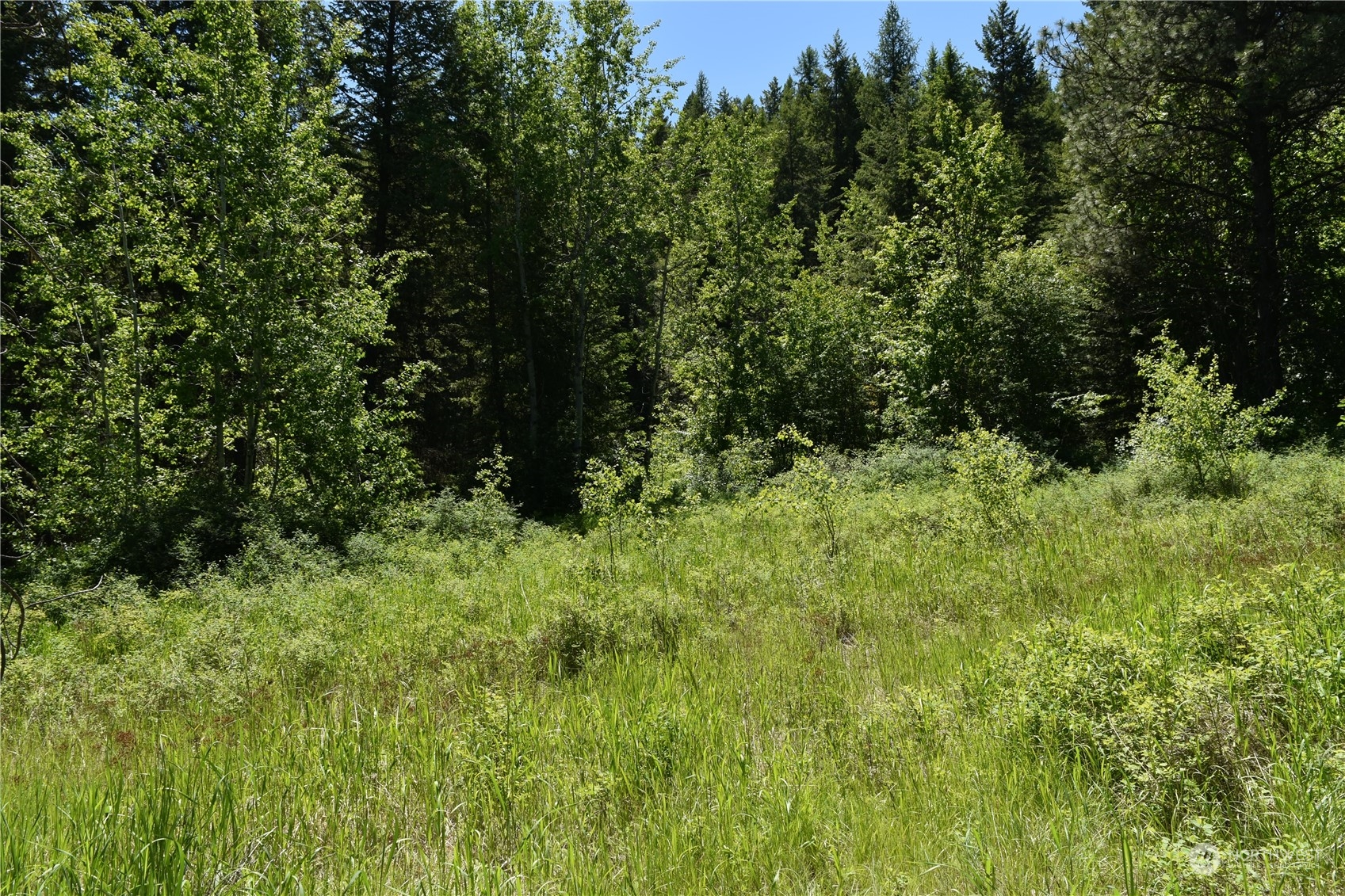 0 Tbd Mcquinn Road Property Photo 7
