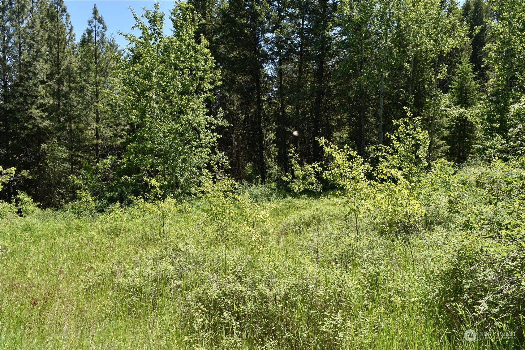 0 Tbd Mcquinn Road Property Photo 8