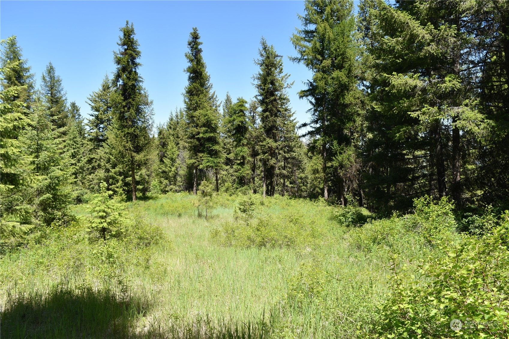 0 Tbd Mcquinn Road Property Photo 10