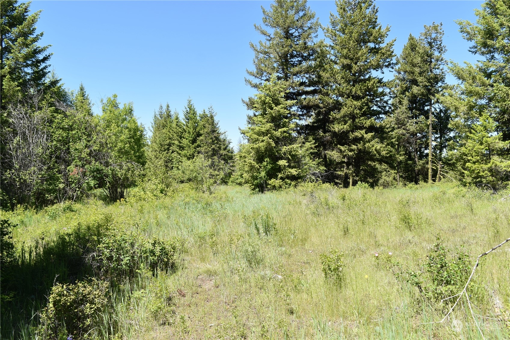 0 Tbd Mcquinn Road Property Photo 11
