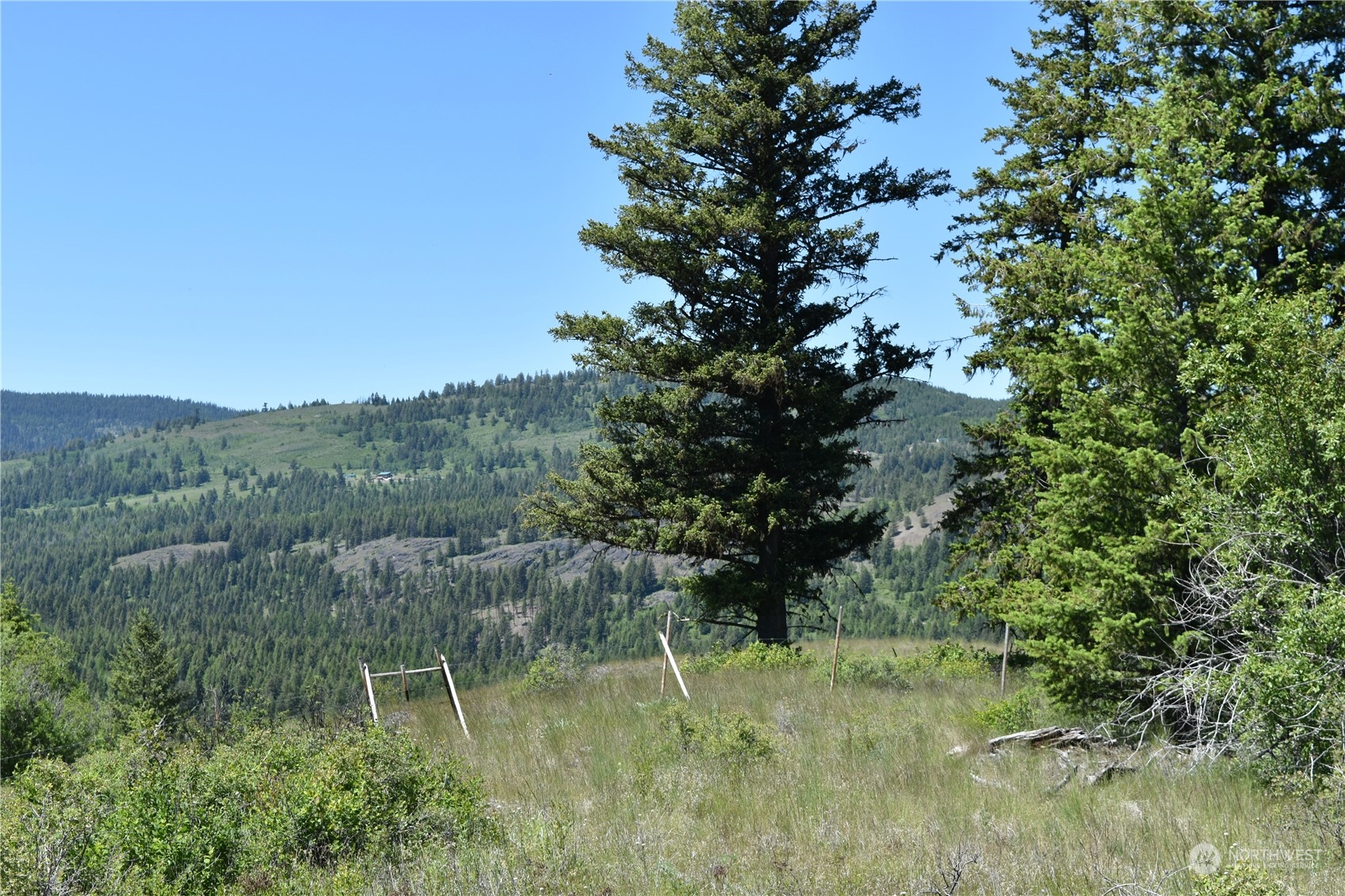 0 Tbd Mcquinn Road Property Photo 12