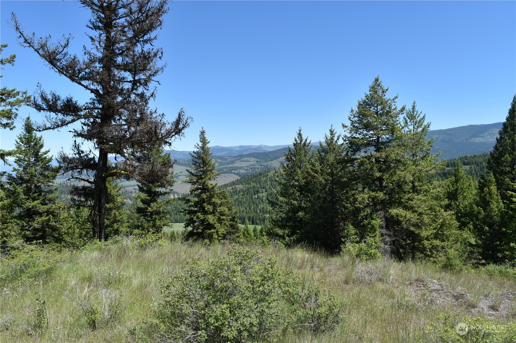 0 Tbd Mcquinn Road Property Photo 15