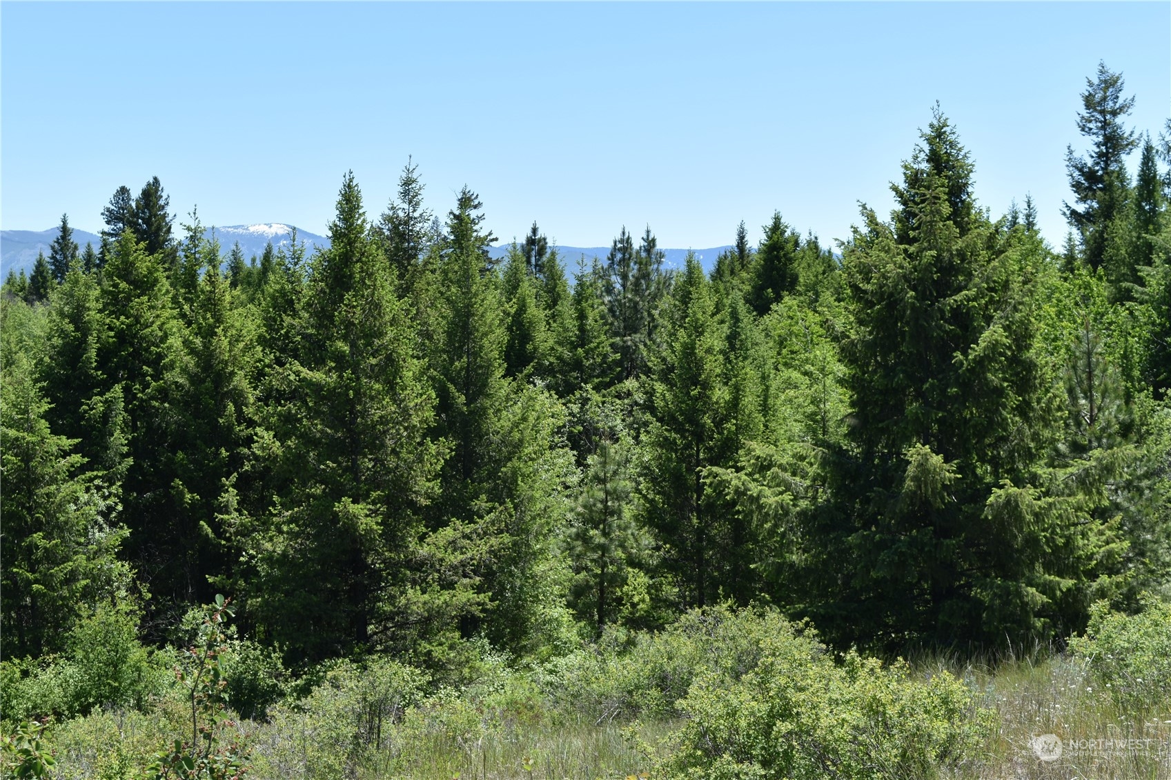 0 Tbd Mcquinn Road Property Photo 16