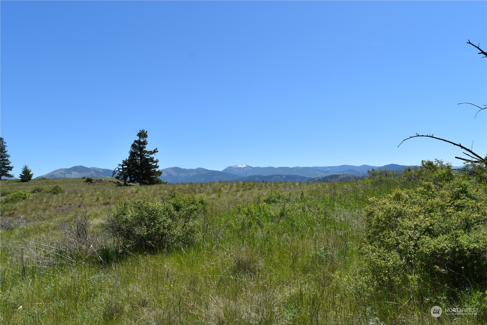 0 Tbd Mcquinn Road Property Photo 18