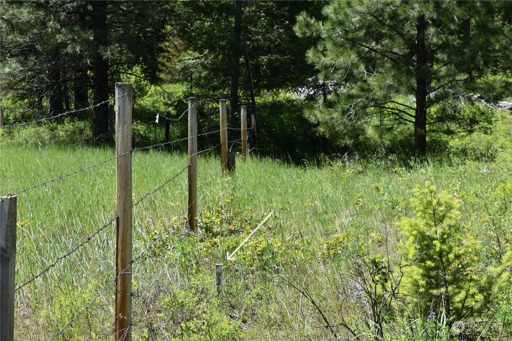 0 Tbd Mcquinn Road Property Photo 24