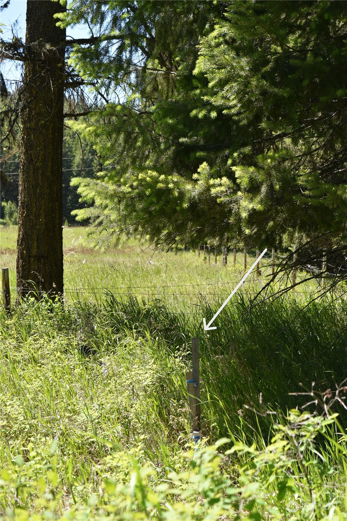 0 Tbd Mcquinn Road Property Photo 25
