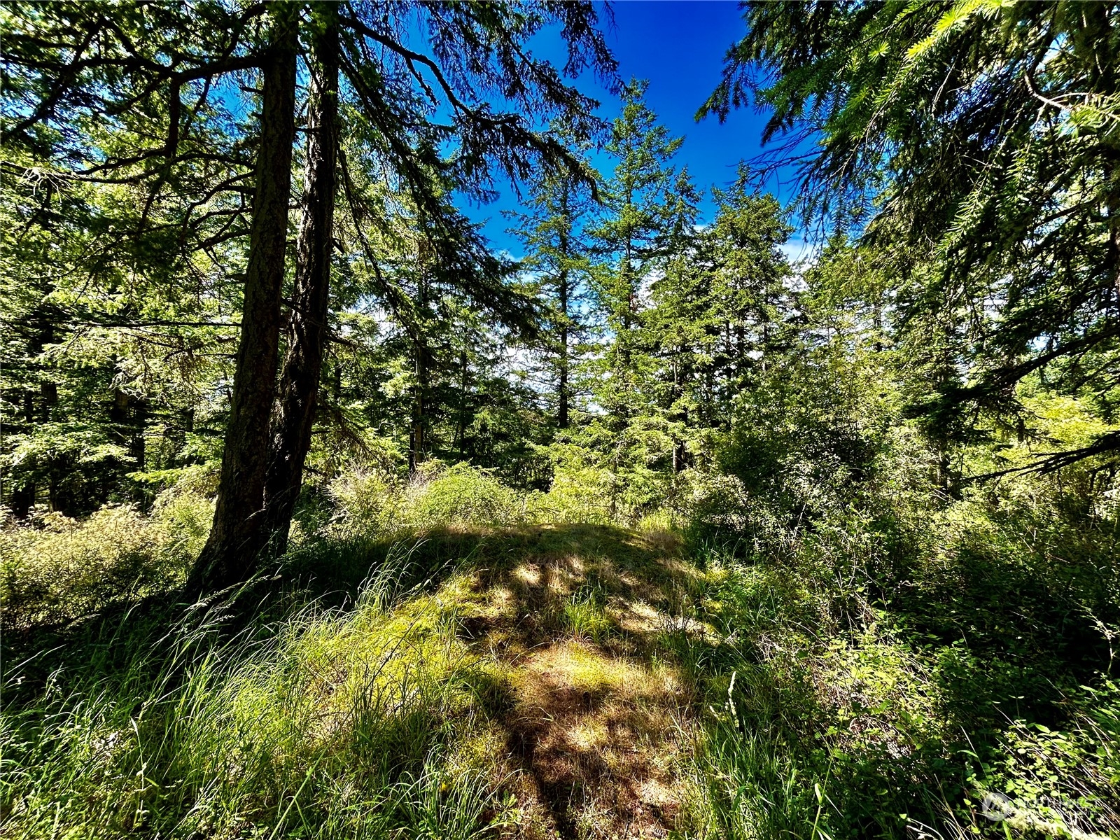 0 Salmonberry Lane Property Photo 2