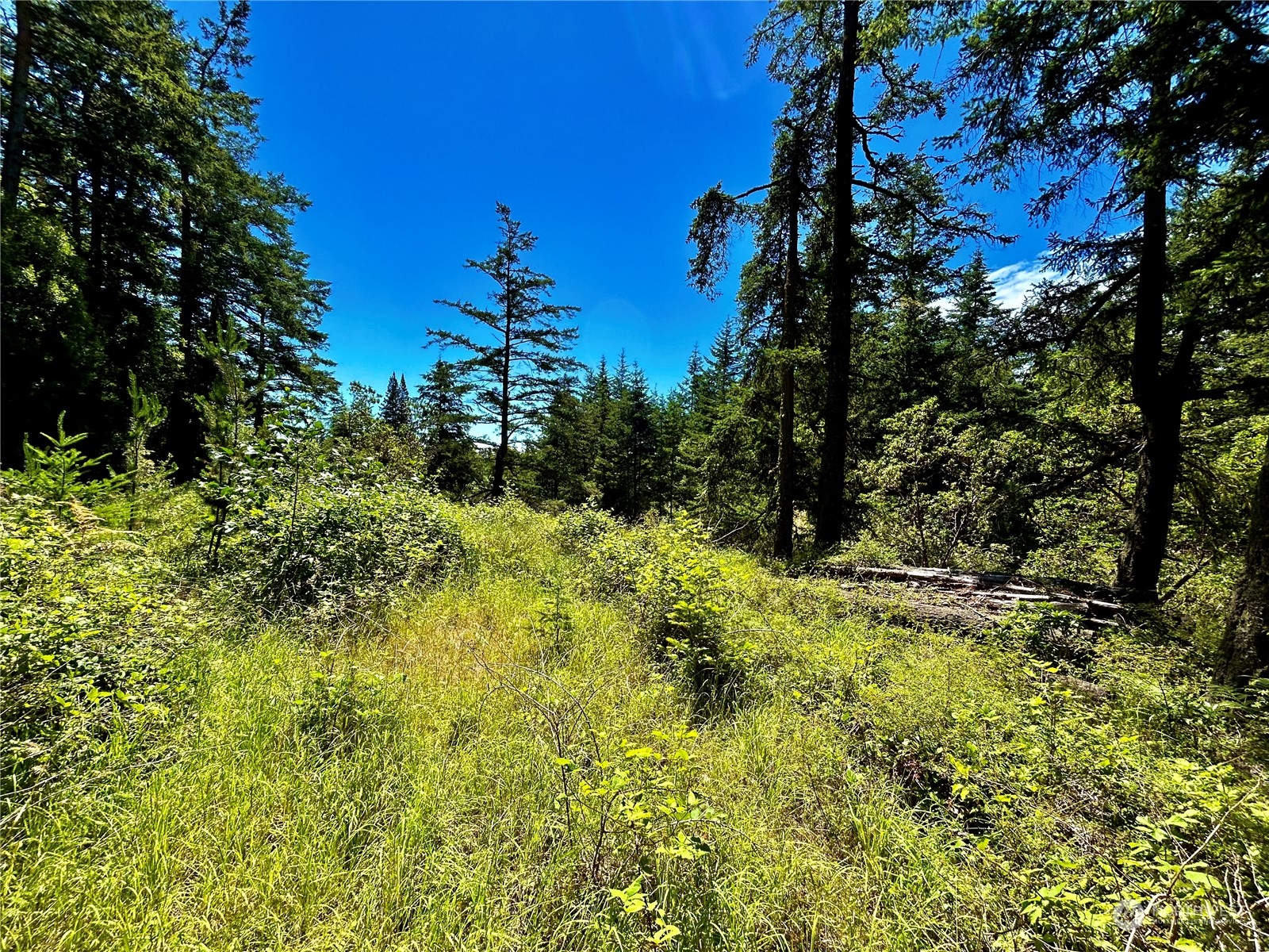0 Salmonberry Lane Property Photo 3