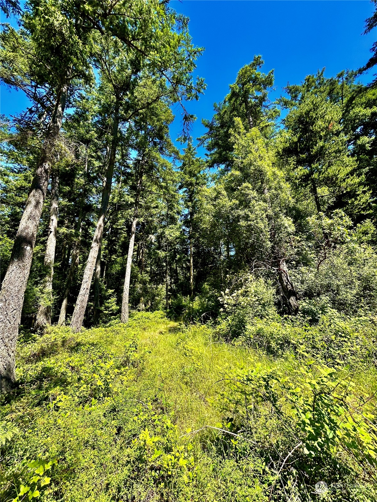 0 Salmonberry Lane Property Photo 7