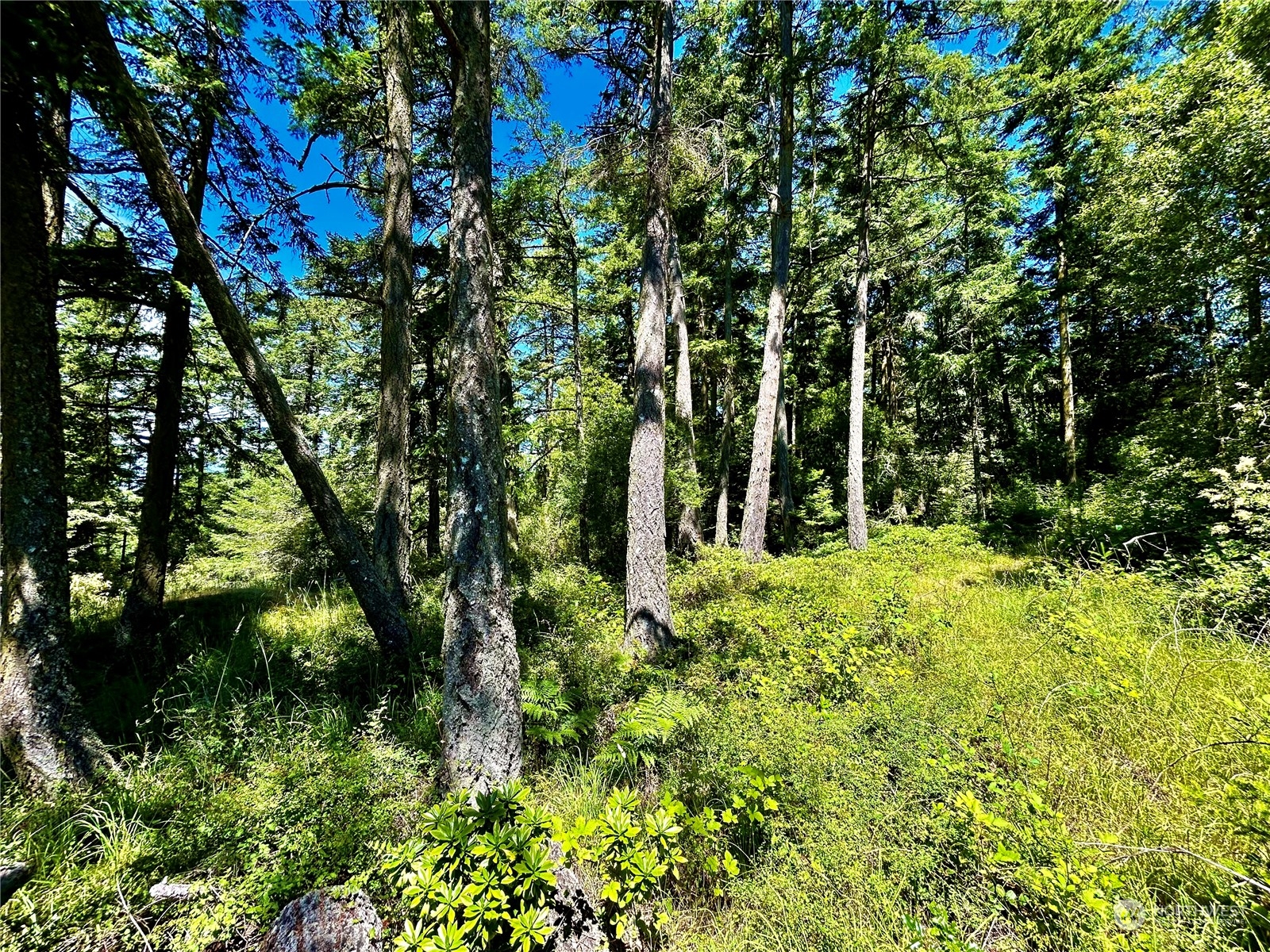 0 Salmonberry Lane Property Photo 8