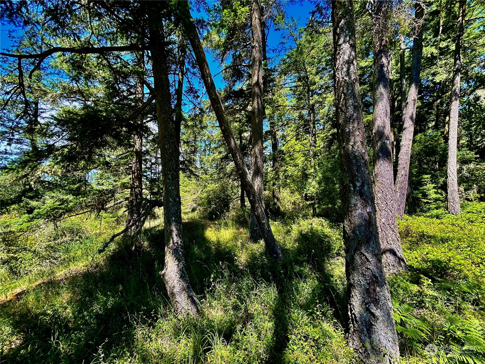 0 Salmonberry Lane Property Photo 10