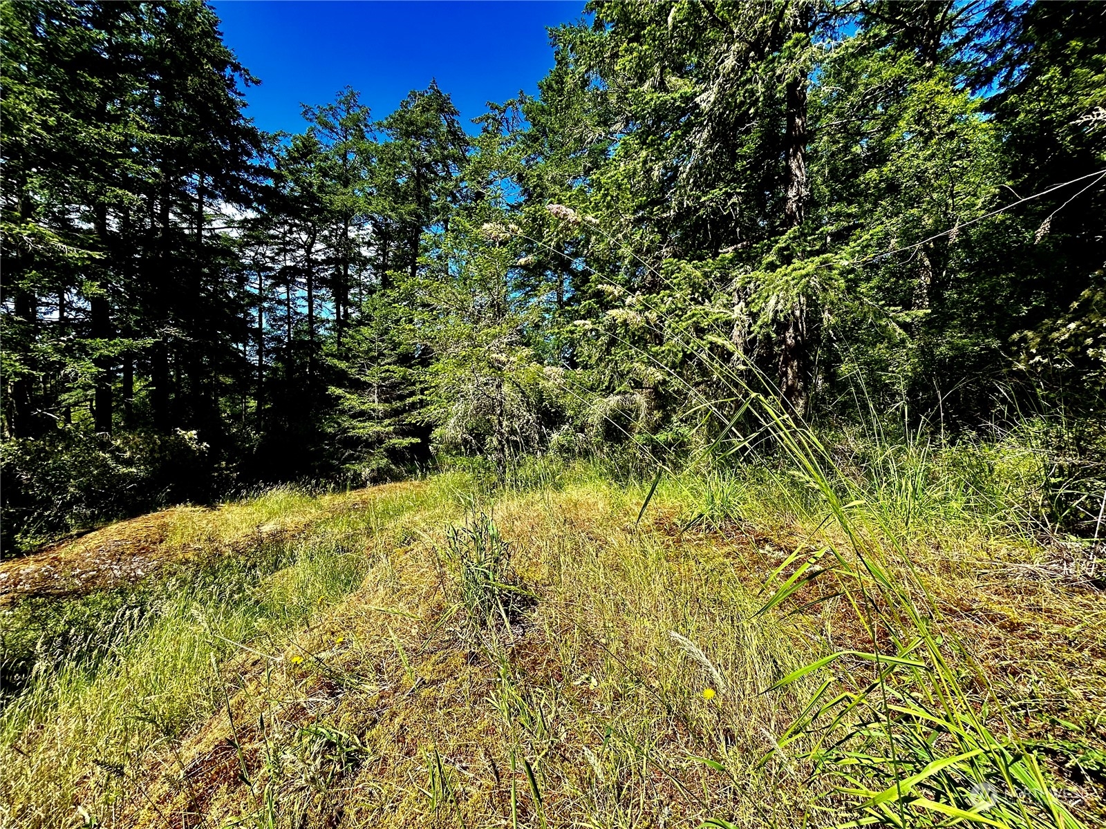 0 Salmonberry Lane Property Photo 12