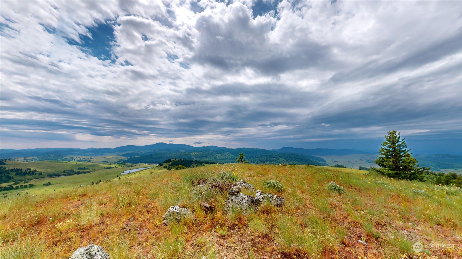 202 Lady Bug Road Property Photo 5