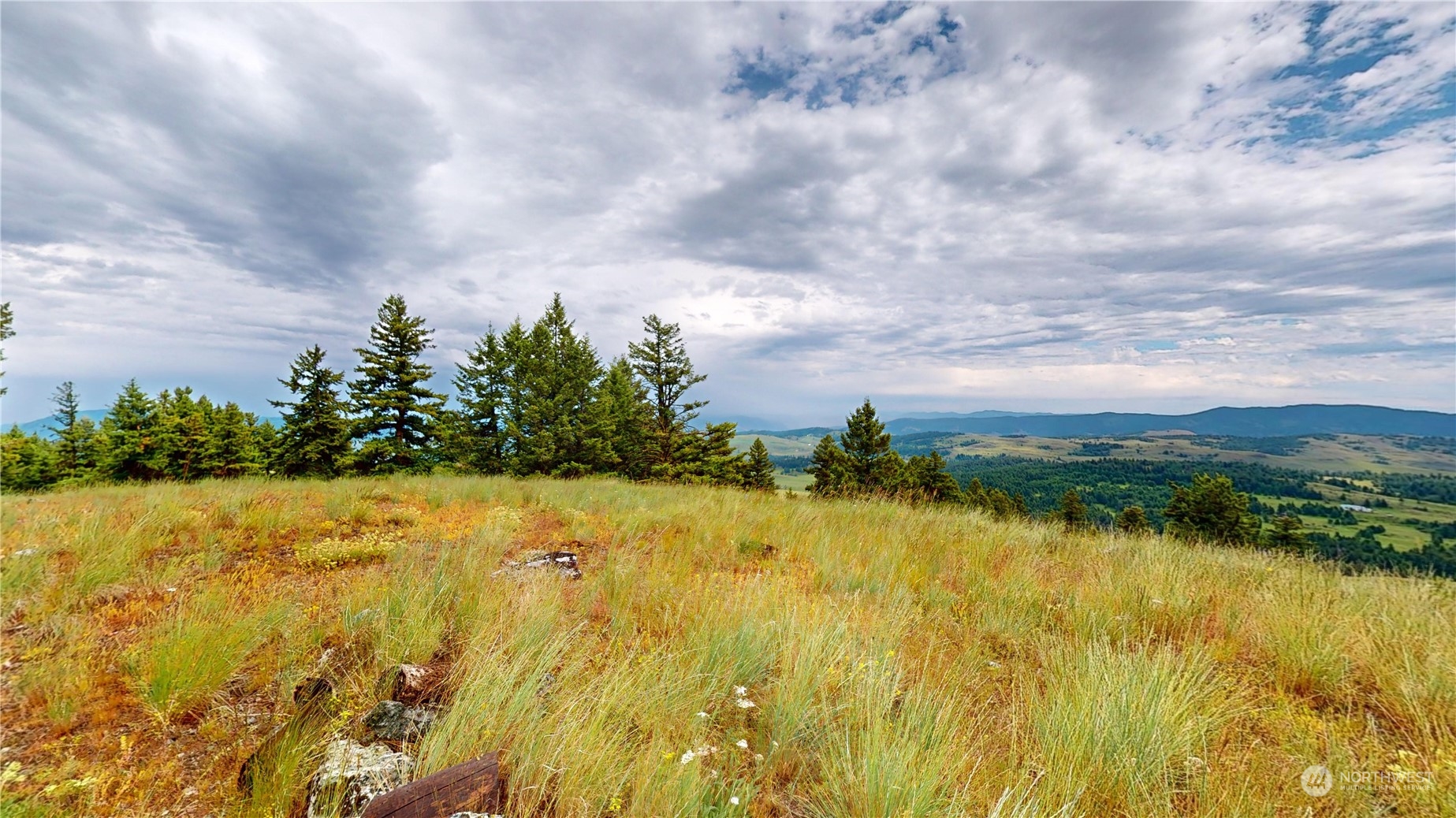 202 Lady Bug Road Property Photo 8