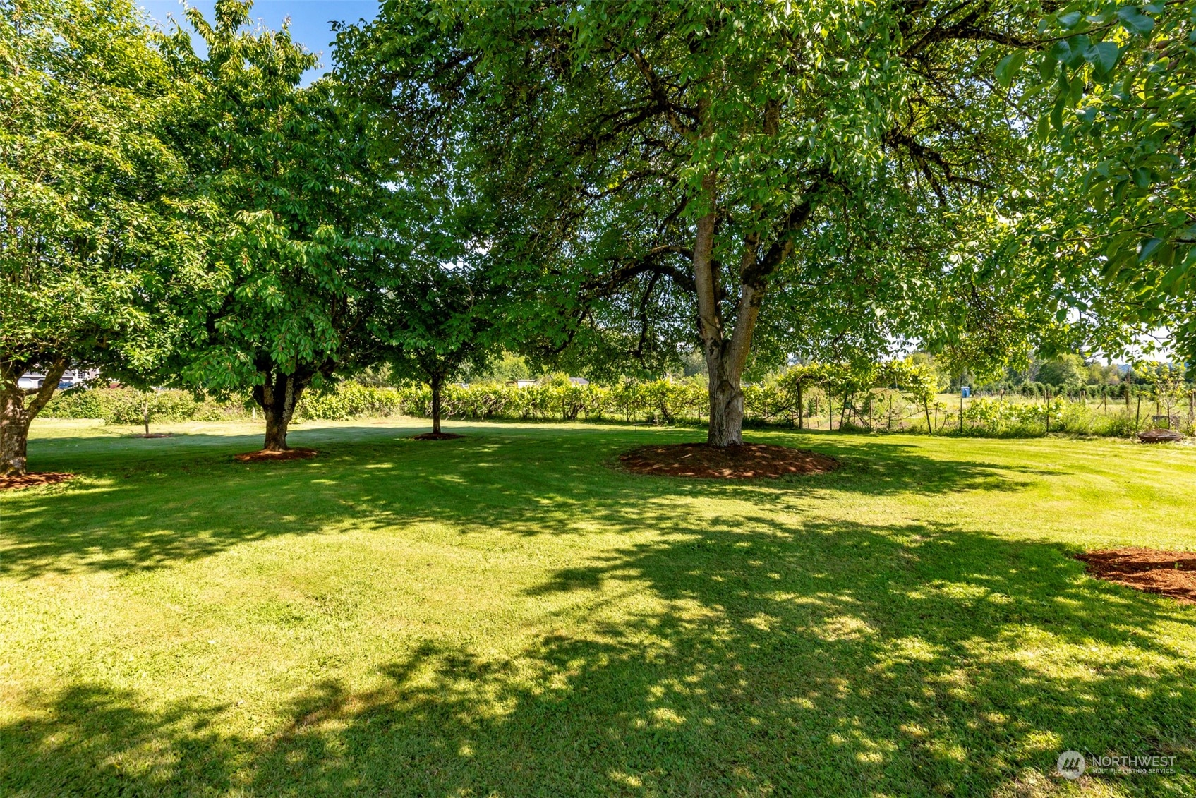 15002 116th Street Property Photo 17