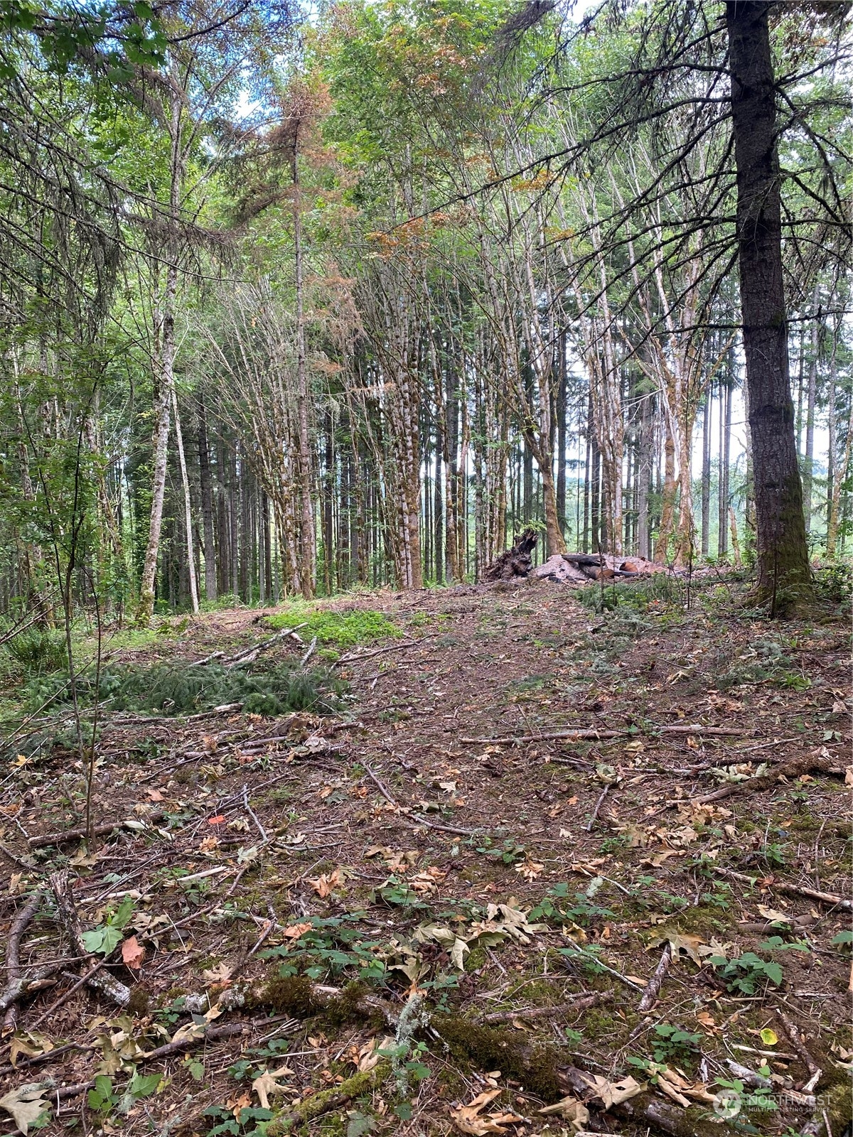 0 Spirit Lake Highway Property Photo