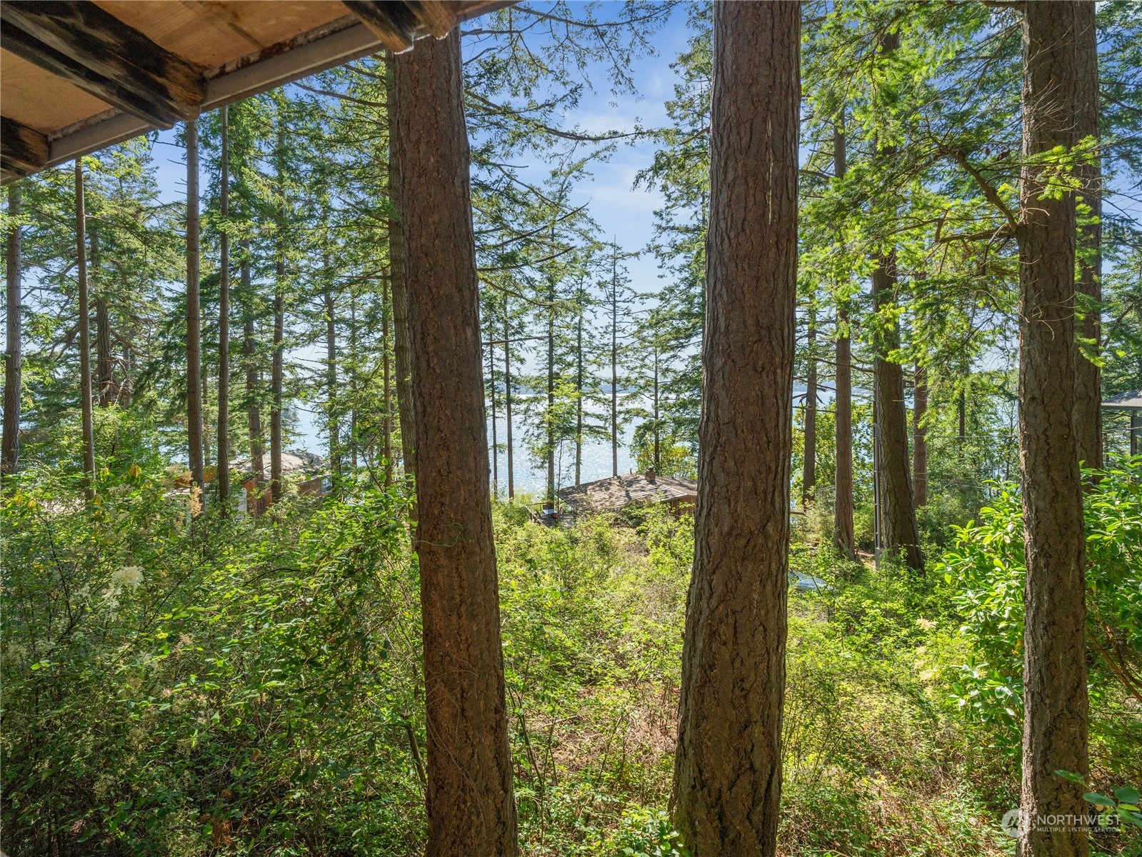 9758 Golden View Trail Property Photo 32