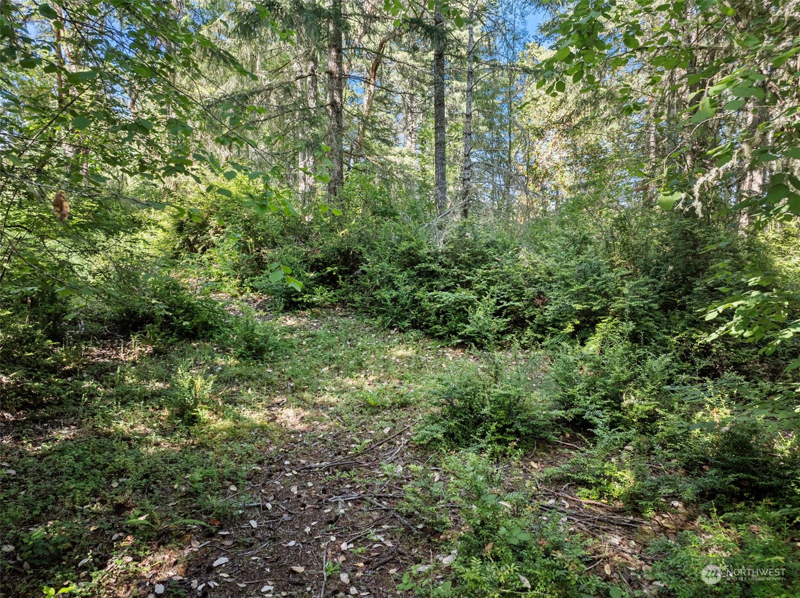 2219 202nd Avenue Property Photo 17