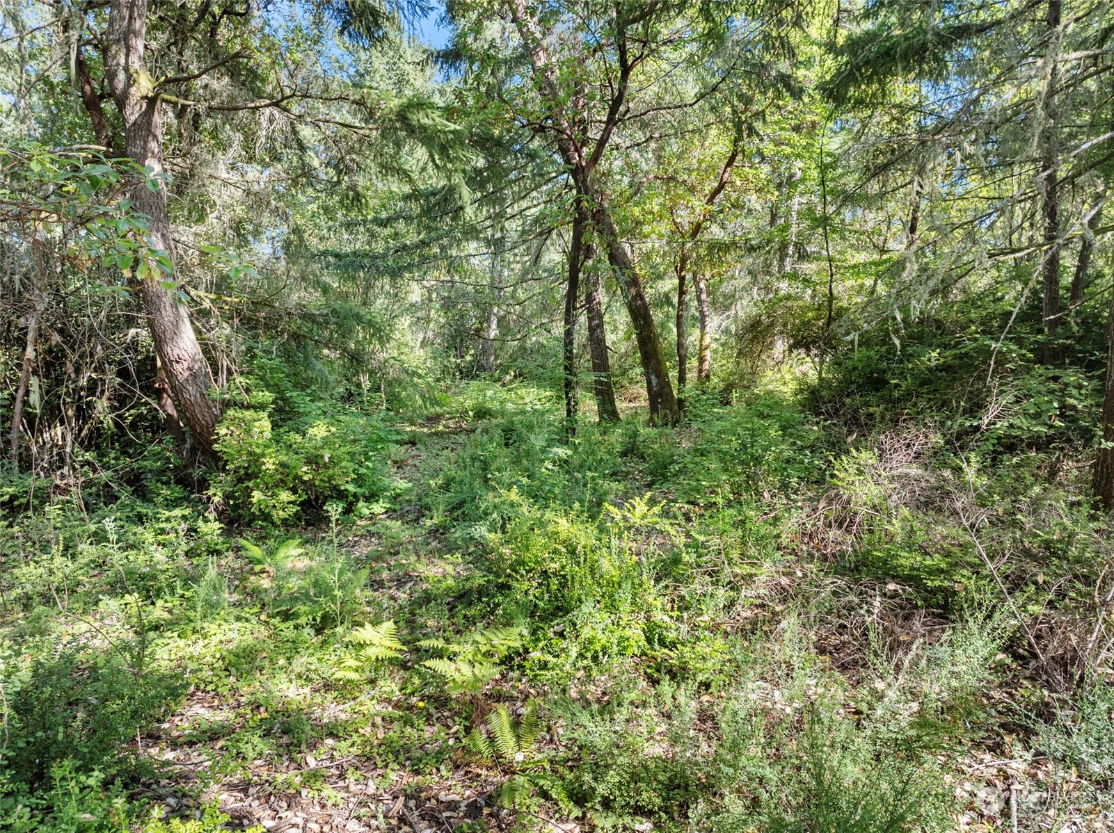 2219 202nd Avenue Property Photo 23