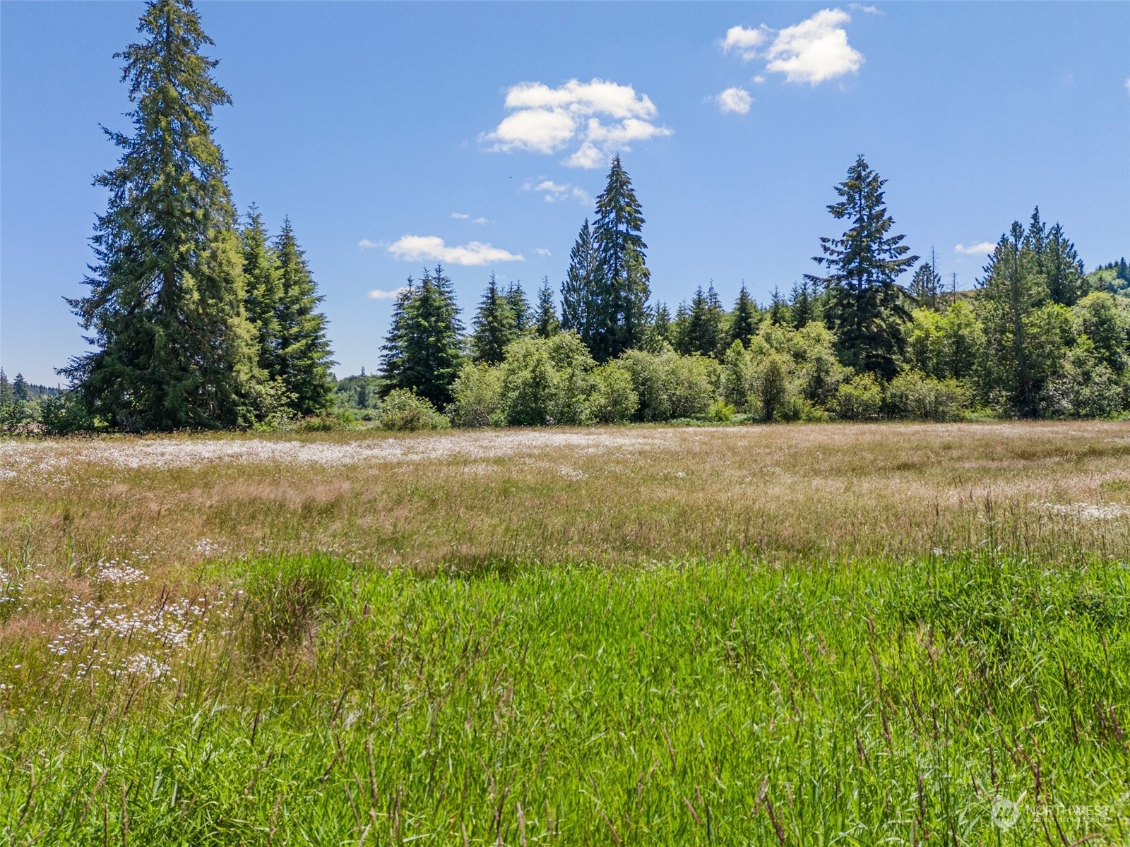 1247 Bunker Creek Road Property Photo 1
