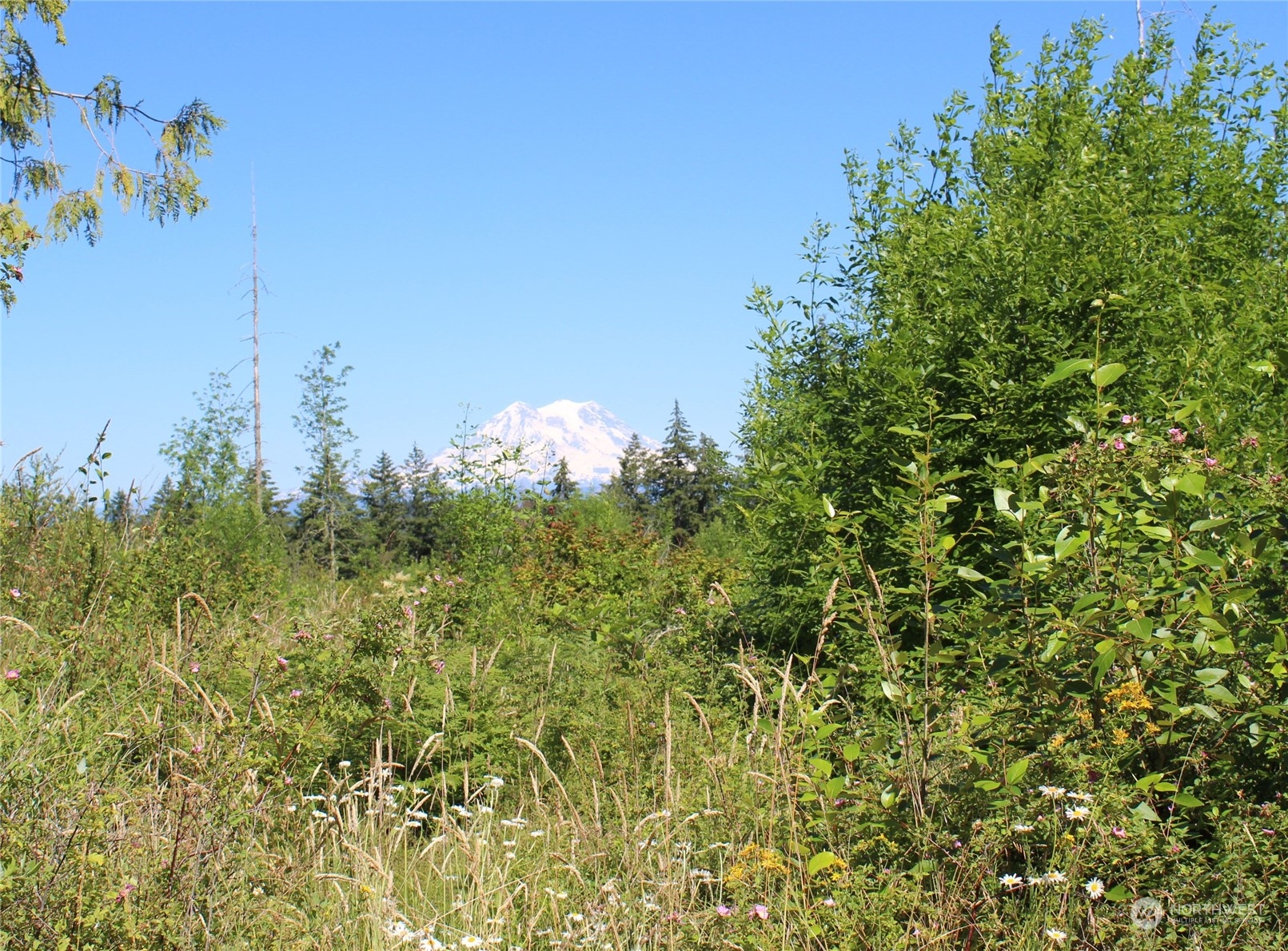 41224 8th Avenue Property Photo