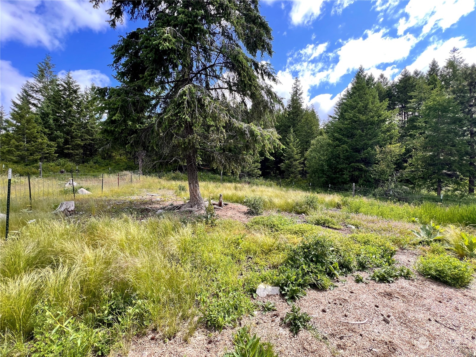 177 First Creek Road Property Photo 28