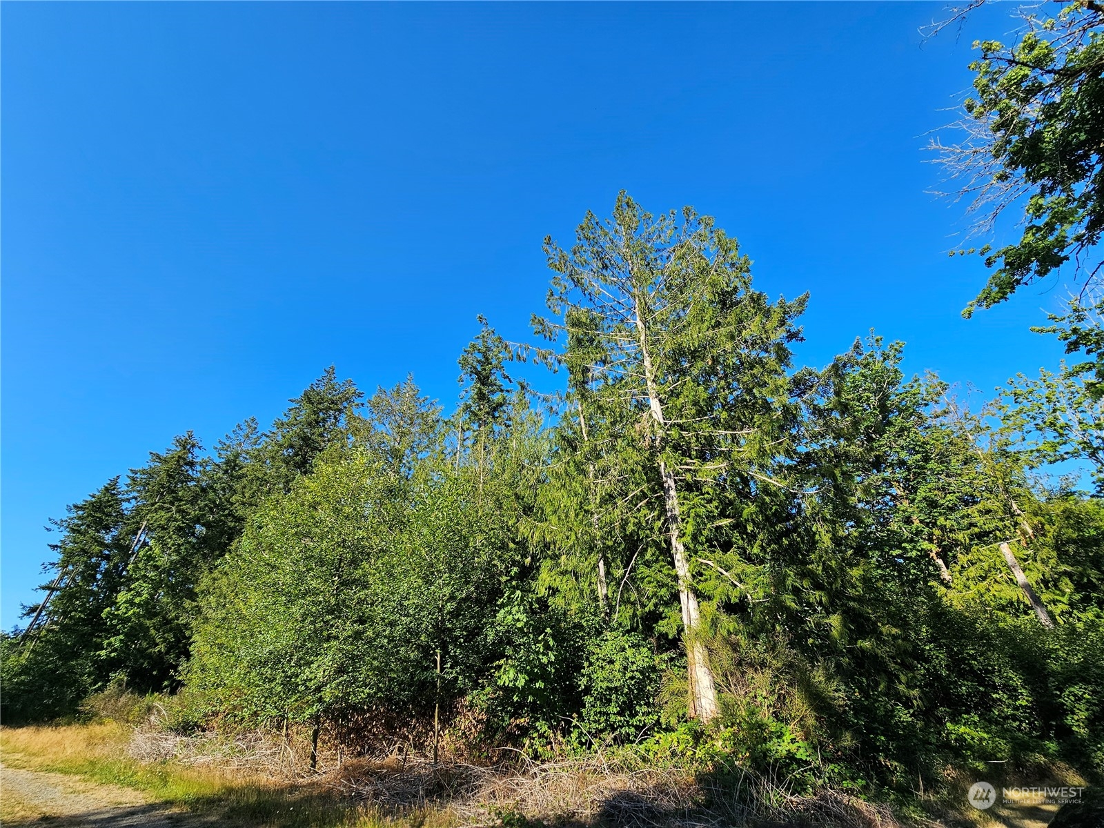 0 62nd Avenue Xxxx Property Photo 2