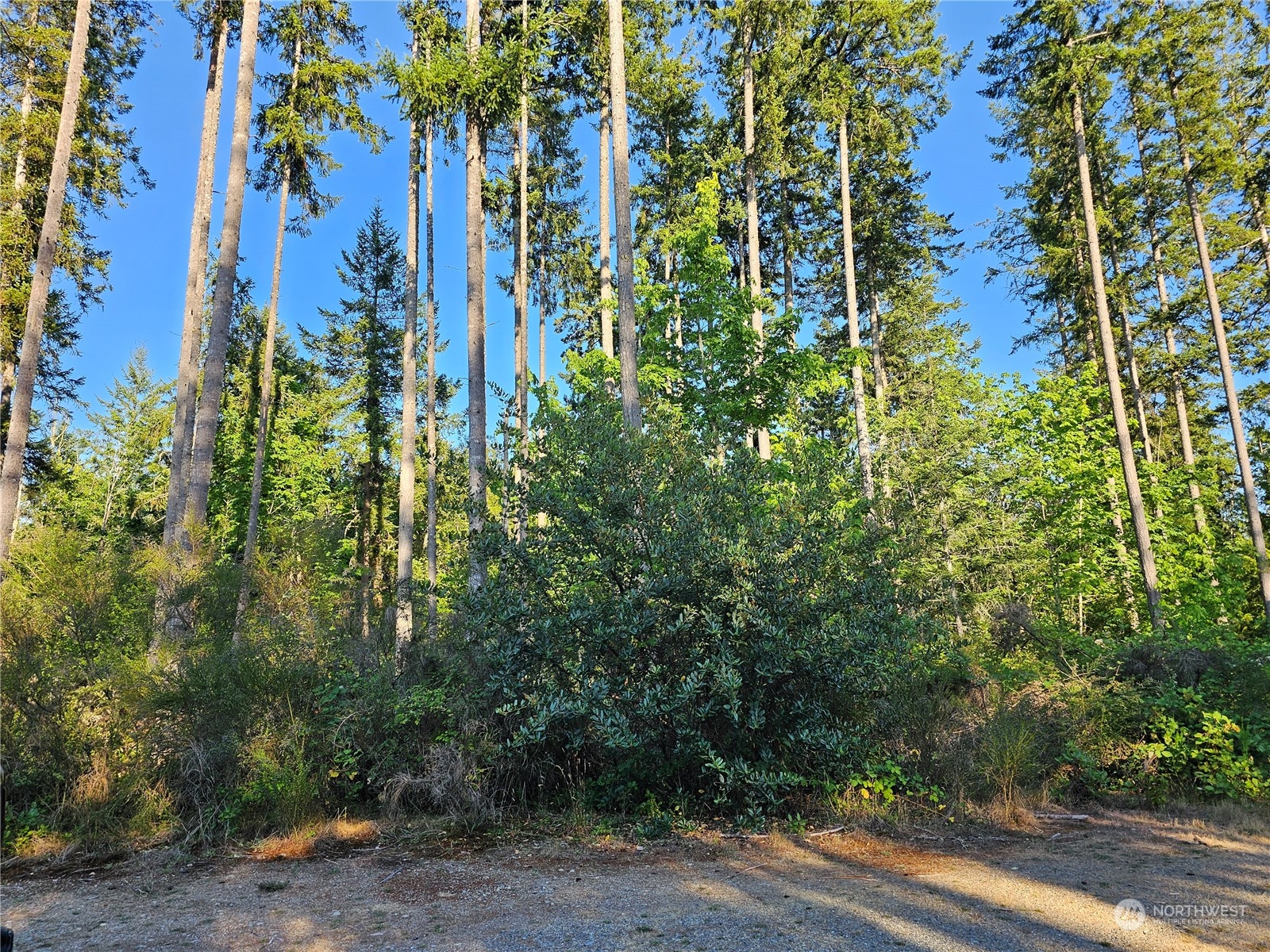 0 62nd Avenue Xxxx Property Photo 4