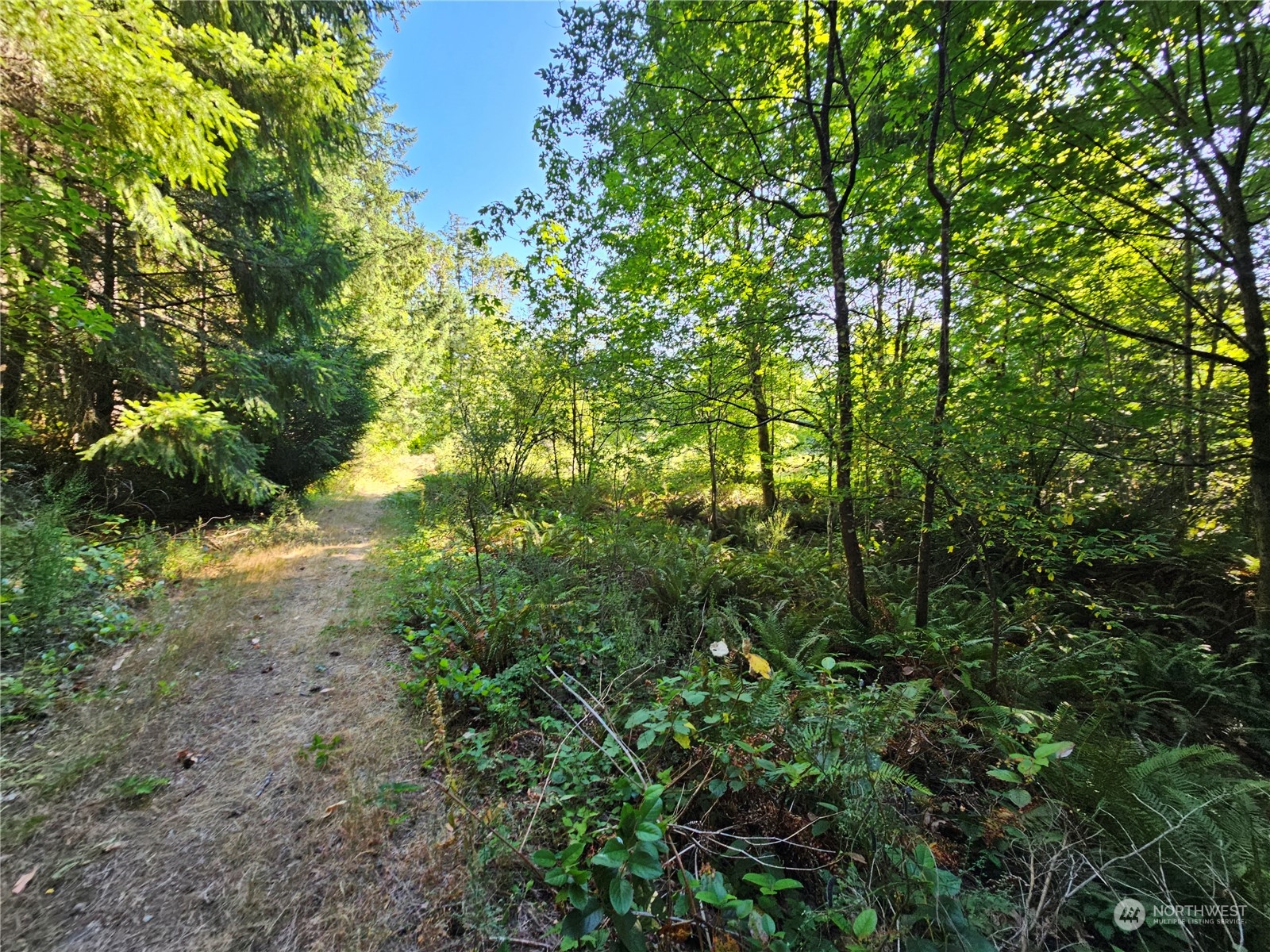 0 62nd Avenue Xxxx Property Photo 7