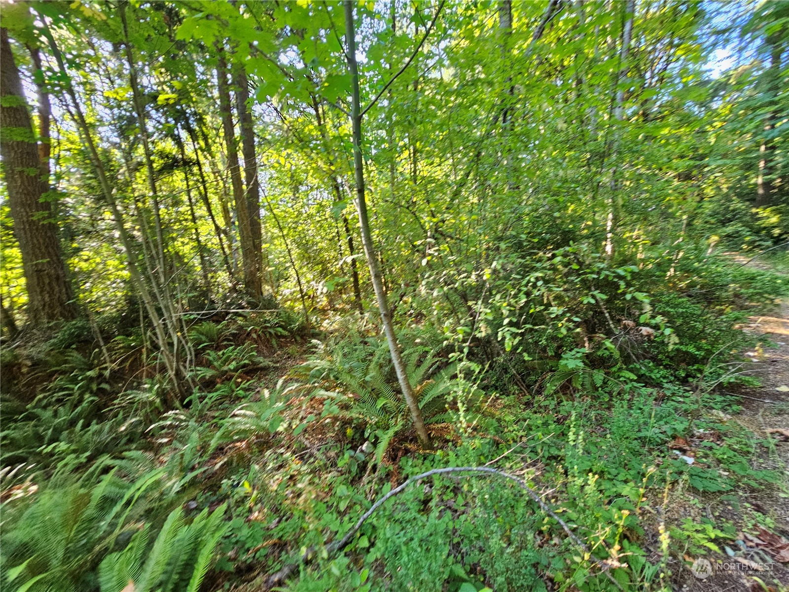 0 62nd Avenue Xxxx Property Photo 8