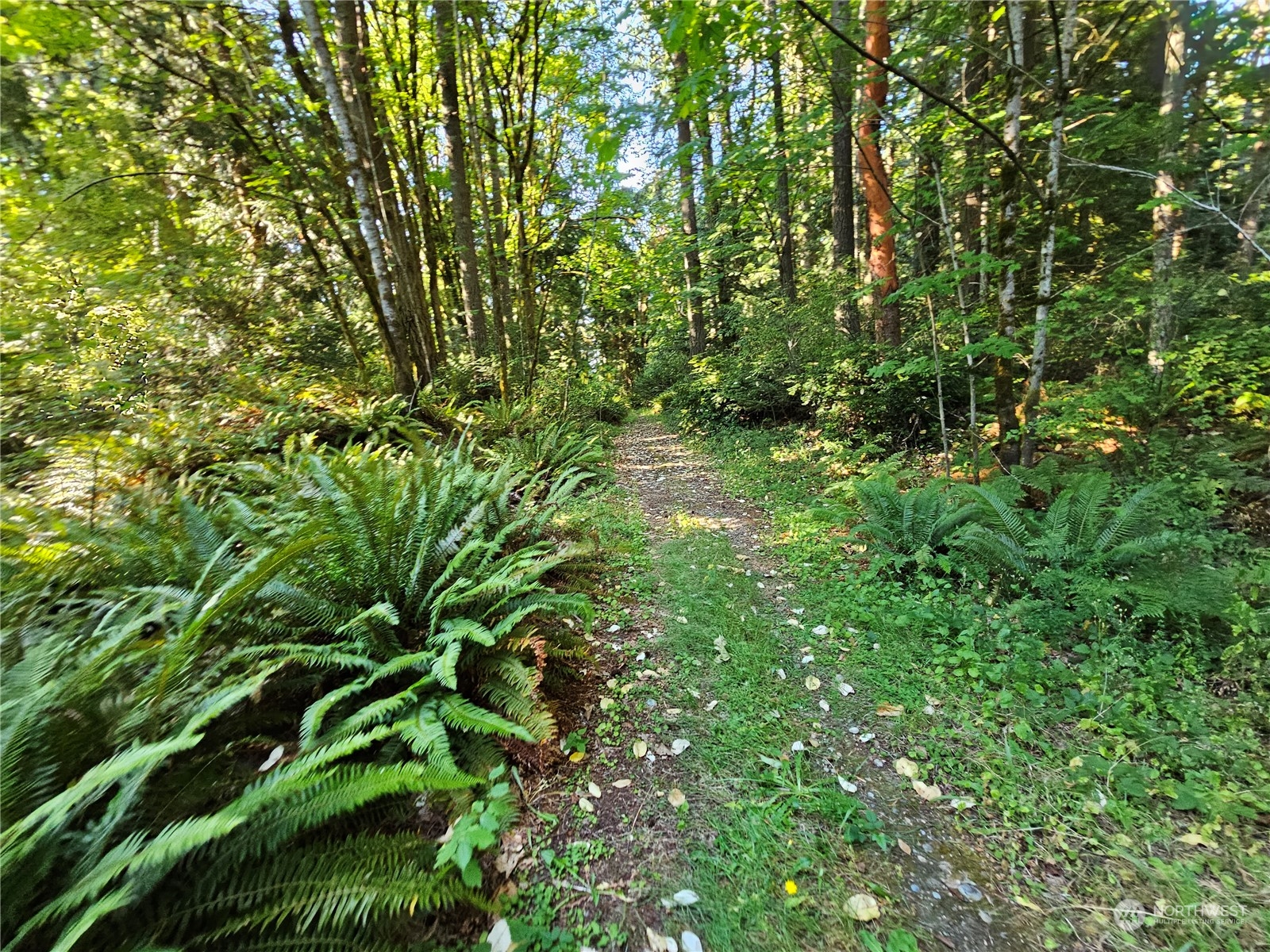 0 62nd Avenue Xxxx Property Photo 9